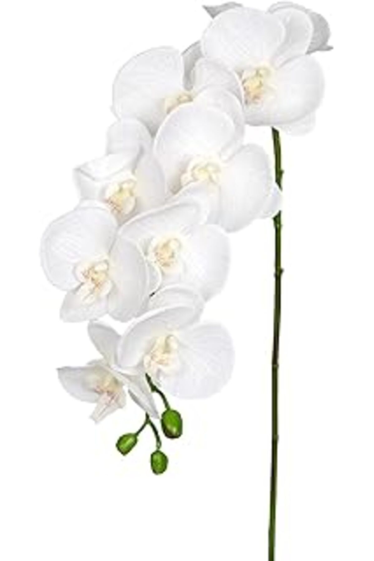 Roses Store Yapay Orkide Gerçek Dokulu Beyaz 95 Cm.