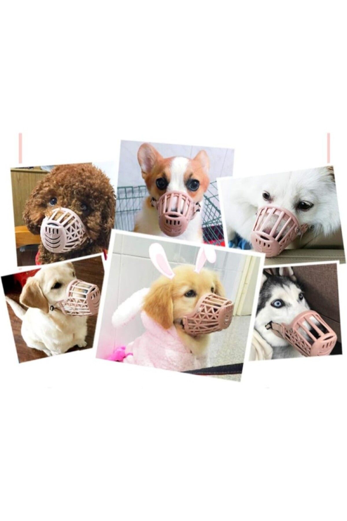NİLİN VADİSİ Köpek Koruma Ağızlığı 7'li Set