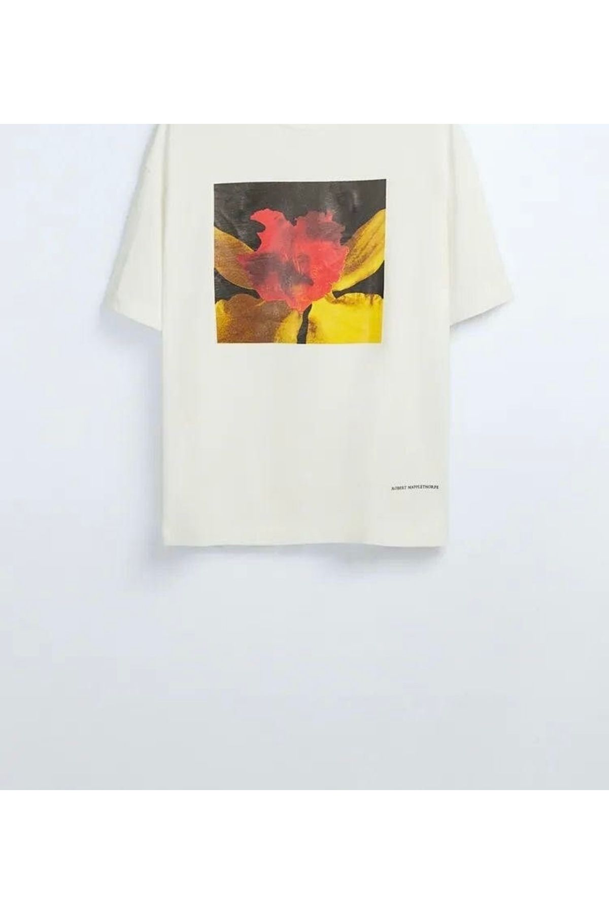 Jose Clothing Oversize Kesim Kısa Kollu Baskılı T-shirt
