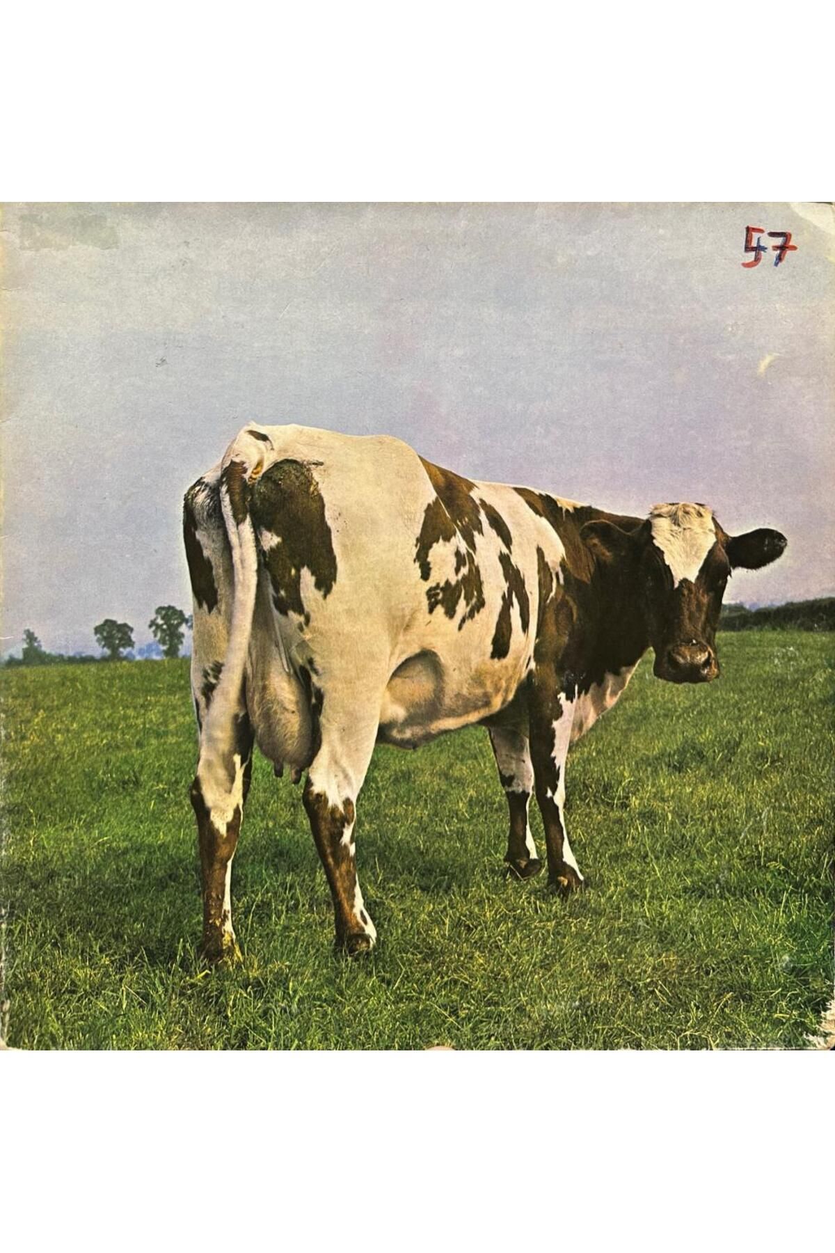 Kadıköy Plak Kulübü Pink Floyd – Atom Heart Mother 1970LER BASKI LP