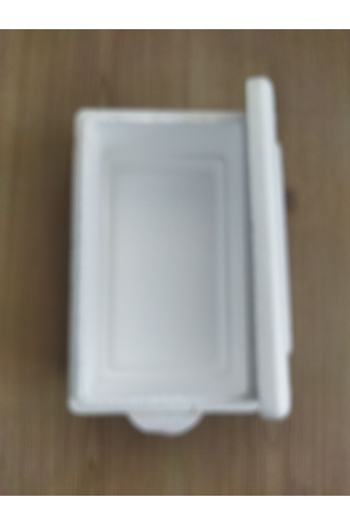 Propack Dondurma kabı taşıma kutusu
