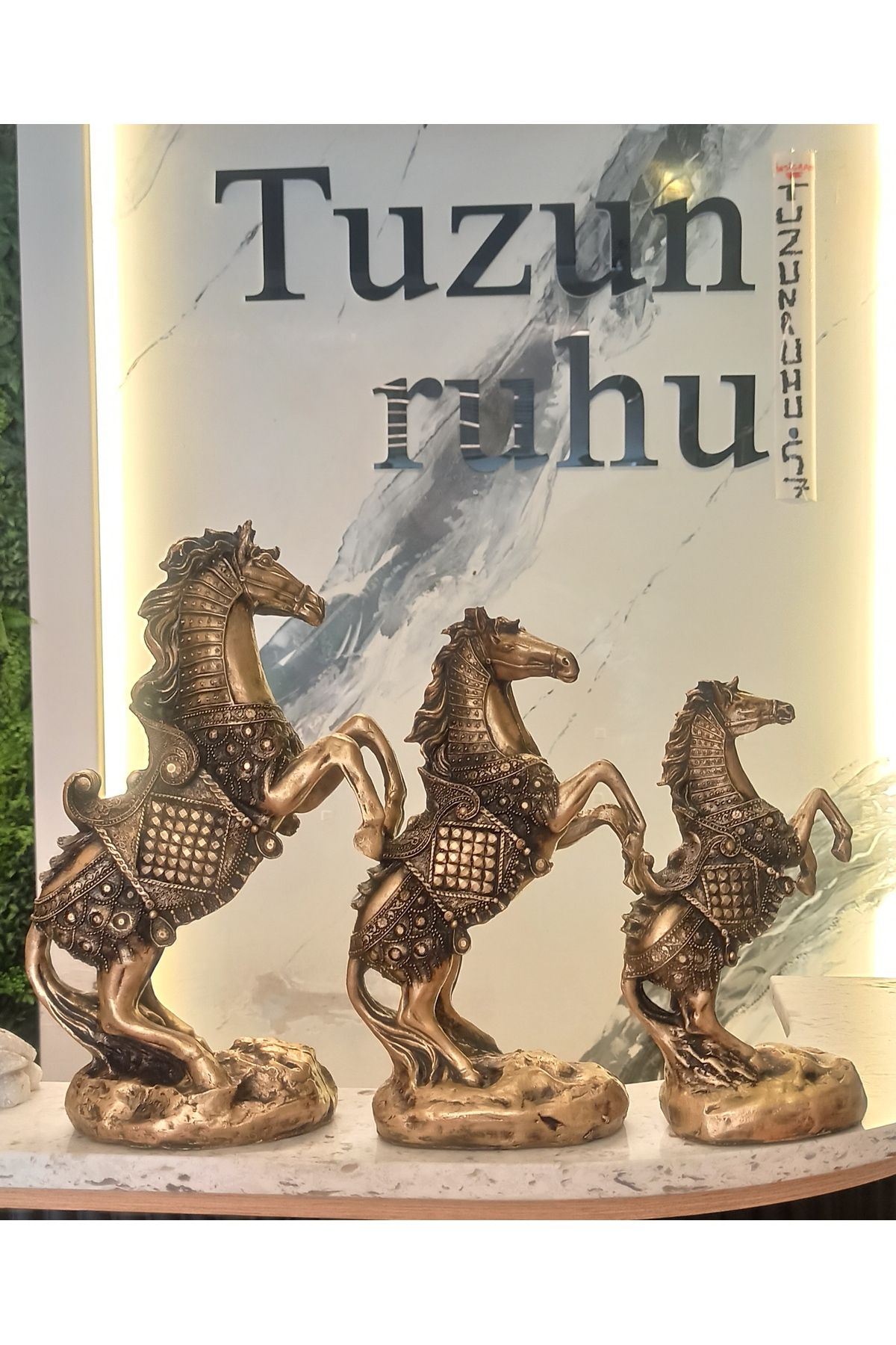 Tuzun Ruhu 3'LÜ ŞAHLANAN AT BİBLOSU