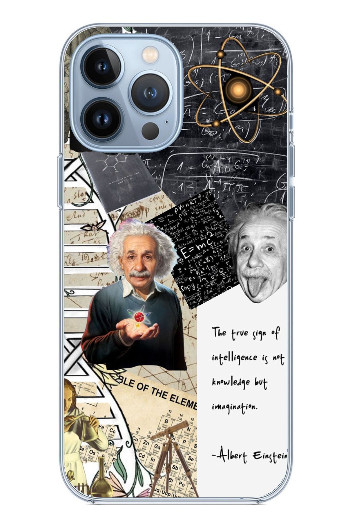 TechTree iPhone 13 PRO Uyumlu Albert Einstein Şeffaf Silikon Kılıf