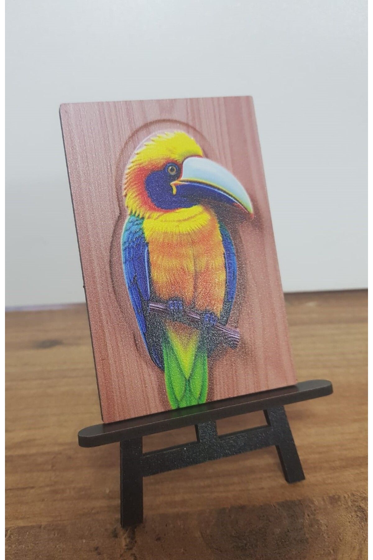 Altınuç Art Design 2 Adet Kuş Mini Tablo