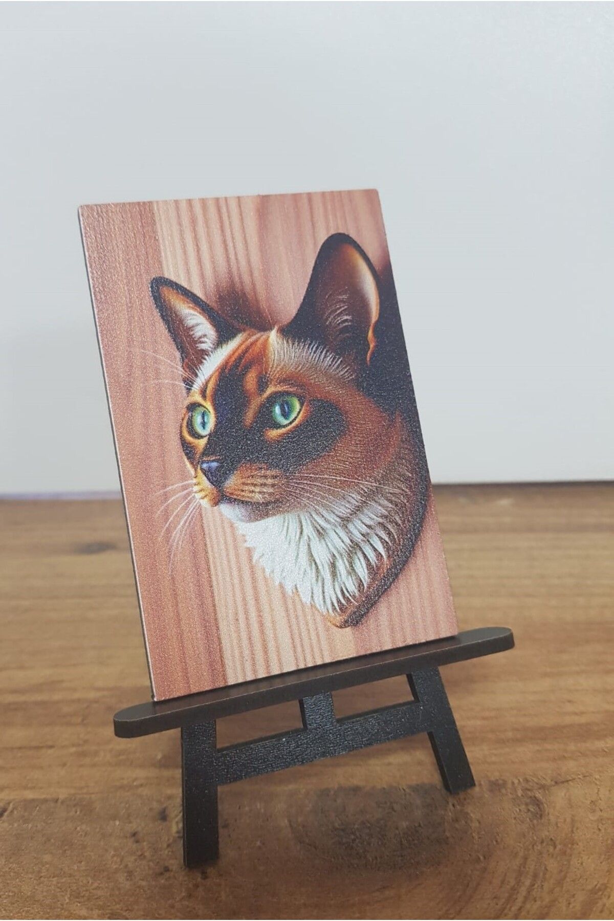 Altınuç Art Design 2 Adet Kedi v2 Mini Tablo