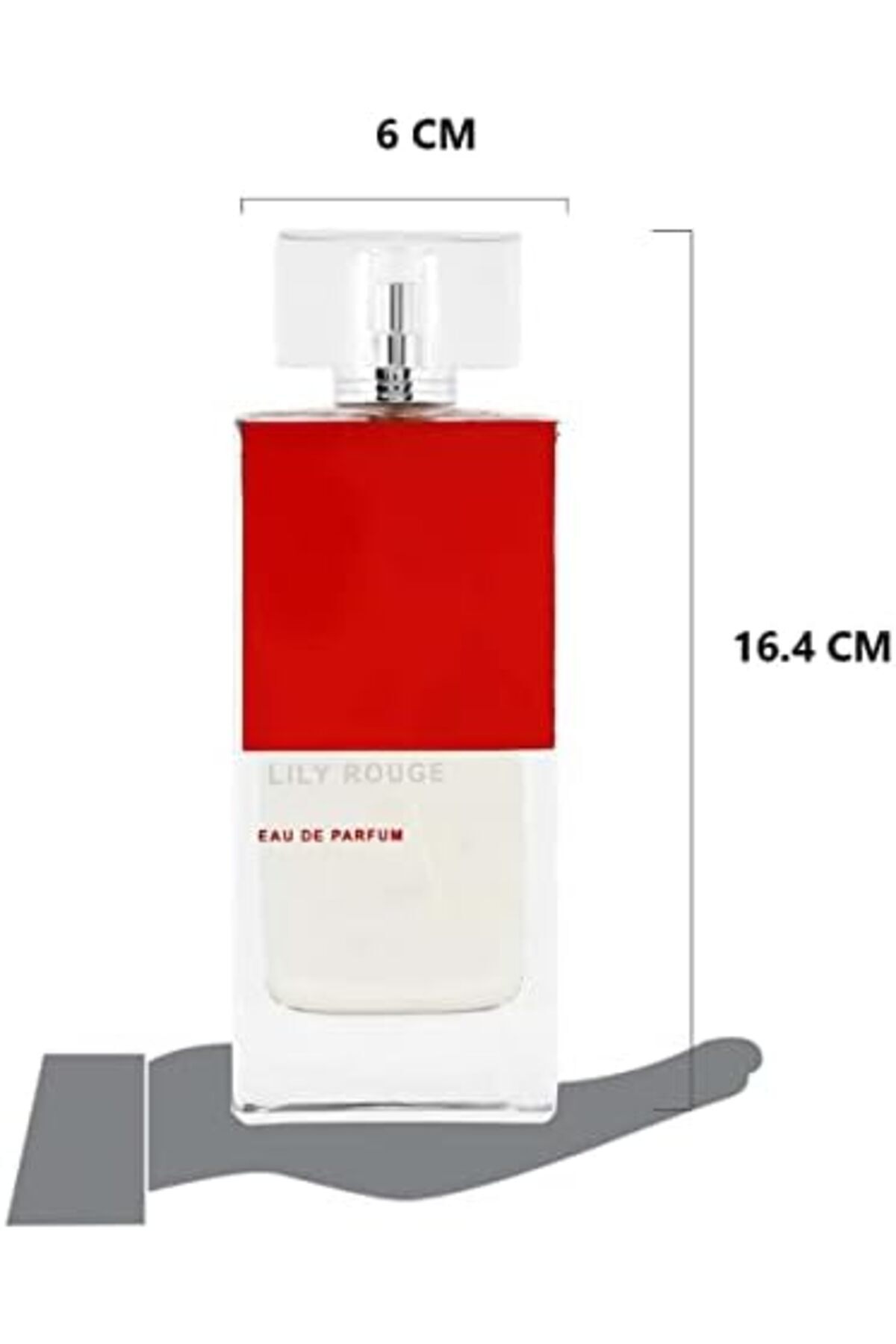 Rihanna-Lily Rouge Eau de Parfum 100ml for Women 5