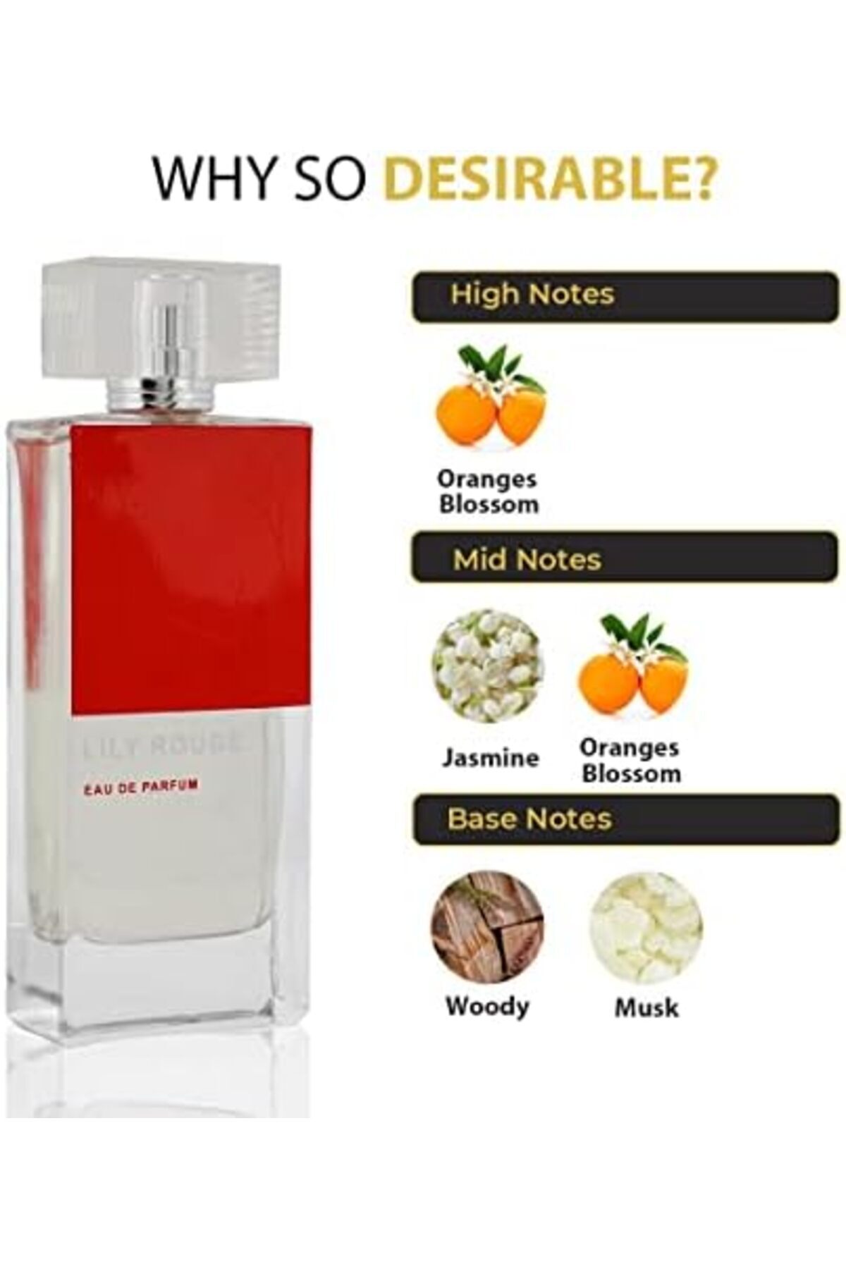 Rihanna-Lily Rouge Eau de Parfum 100ml for Women 4