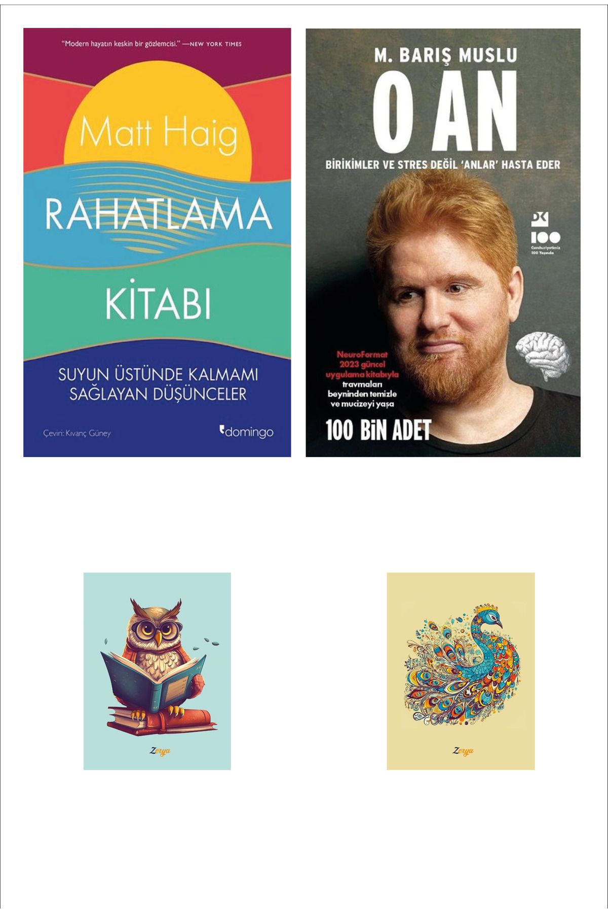Dara Yayınları O AN - M. Barış Muslu - Rahatlama Kitabı Matt Haig (2 NOT DEFTERLİ)