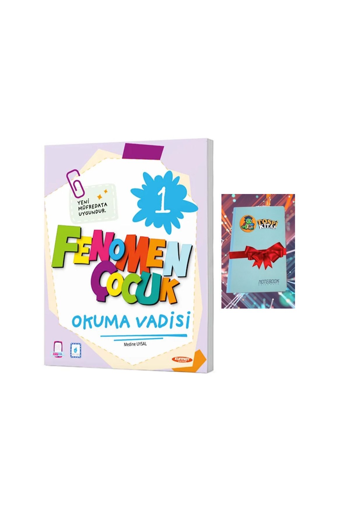 Fenomen Yayıncılık 1 Okuma Vadisi (DEFTER HEDİYE) ATG