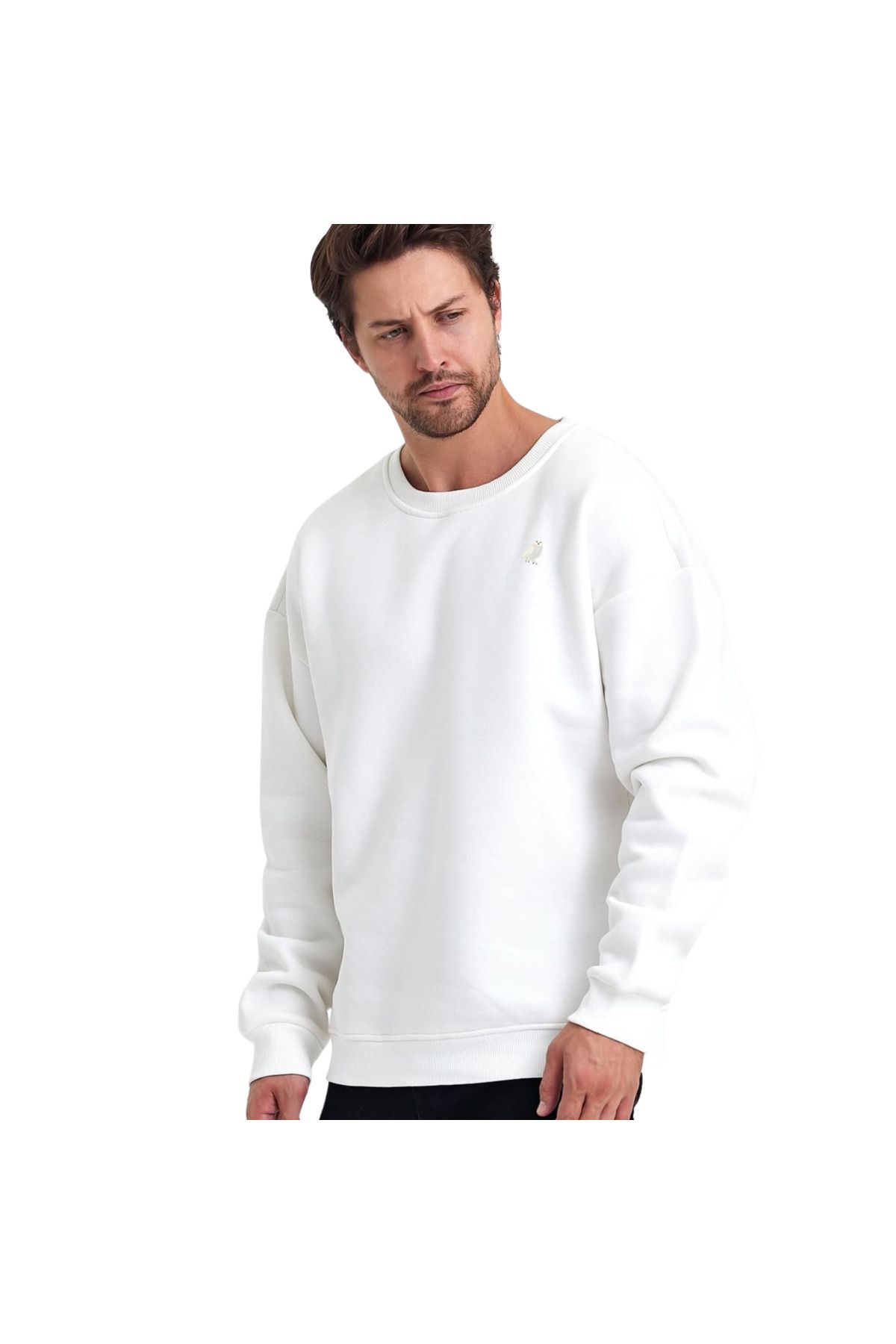 ChapellaSocks Kar Baykuşu Desen Nakışlı Unisex Sweatshirt- %100 Pamuk ve Rahat!
