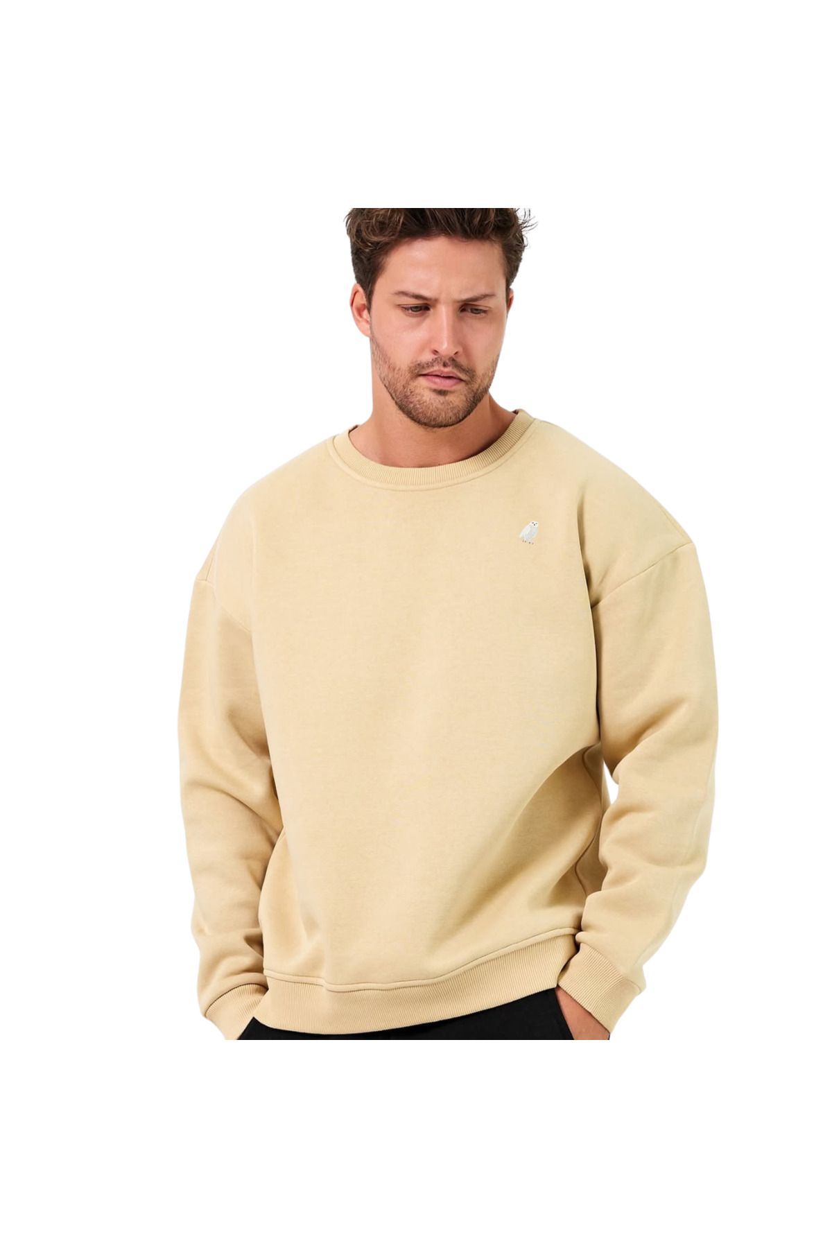 ChapellaSocks Kar Baykuşu Desen Nakışlı Unisex Sweatshirt- %100 Pamuk ve Rahat!