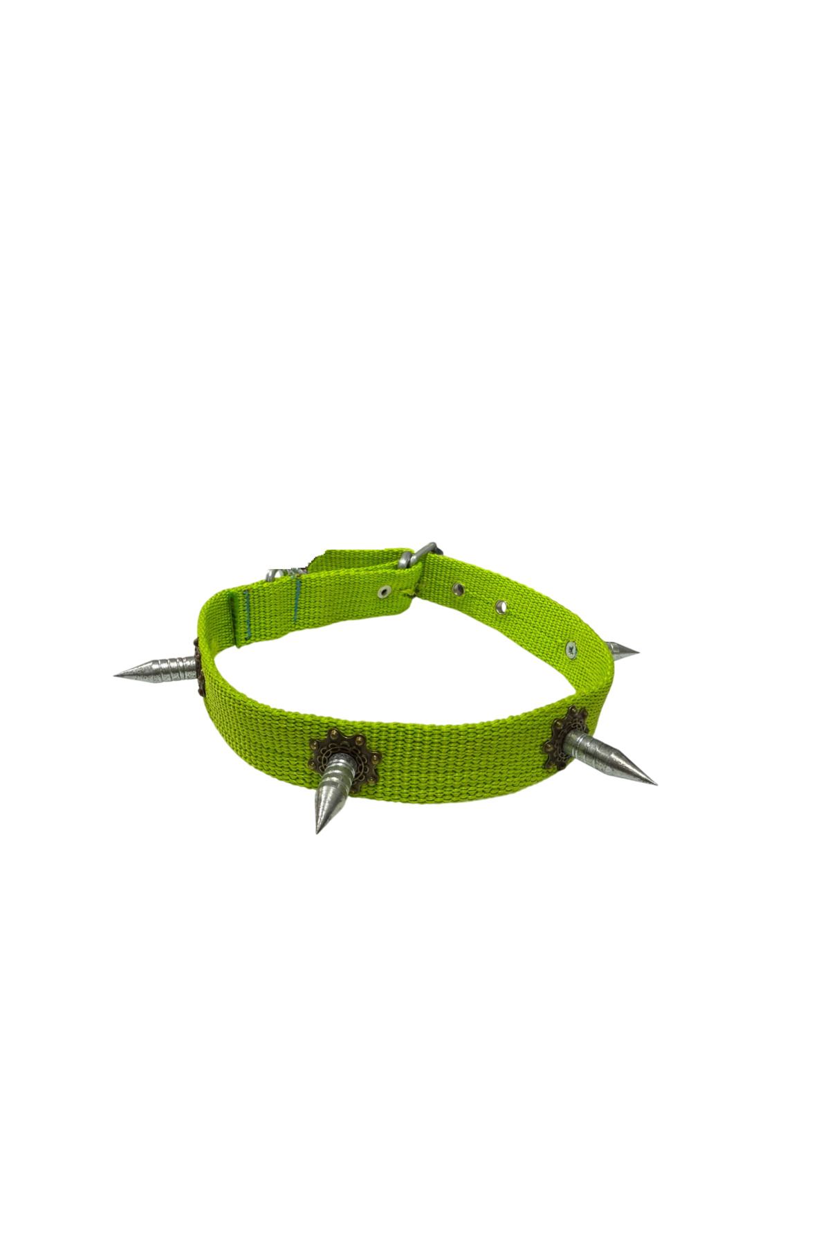AVPETSAN Çivili köpek tasması orta ırk ( 50 cm )
