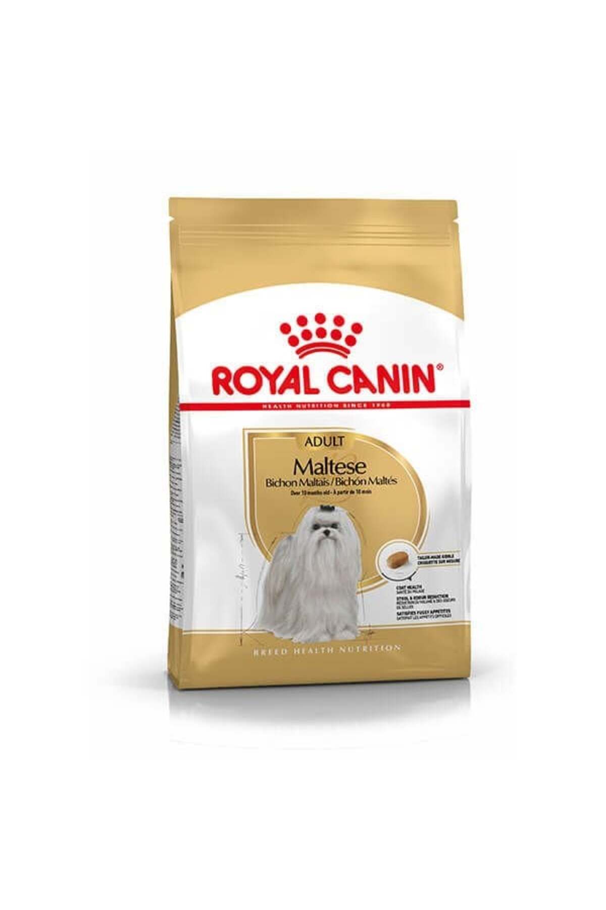 Royal Canin Maltese Terrier Adult Yetişkin Köpek Maması 1.5 Kg