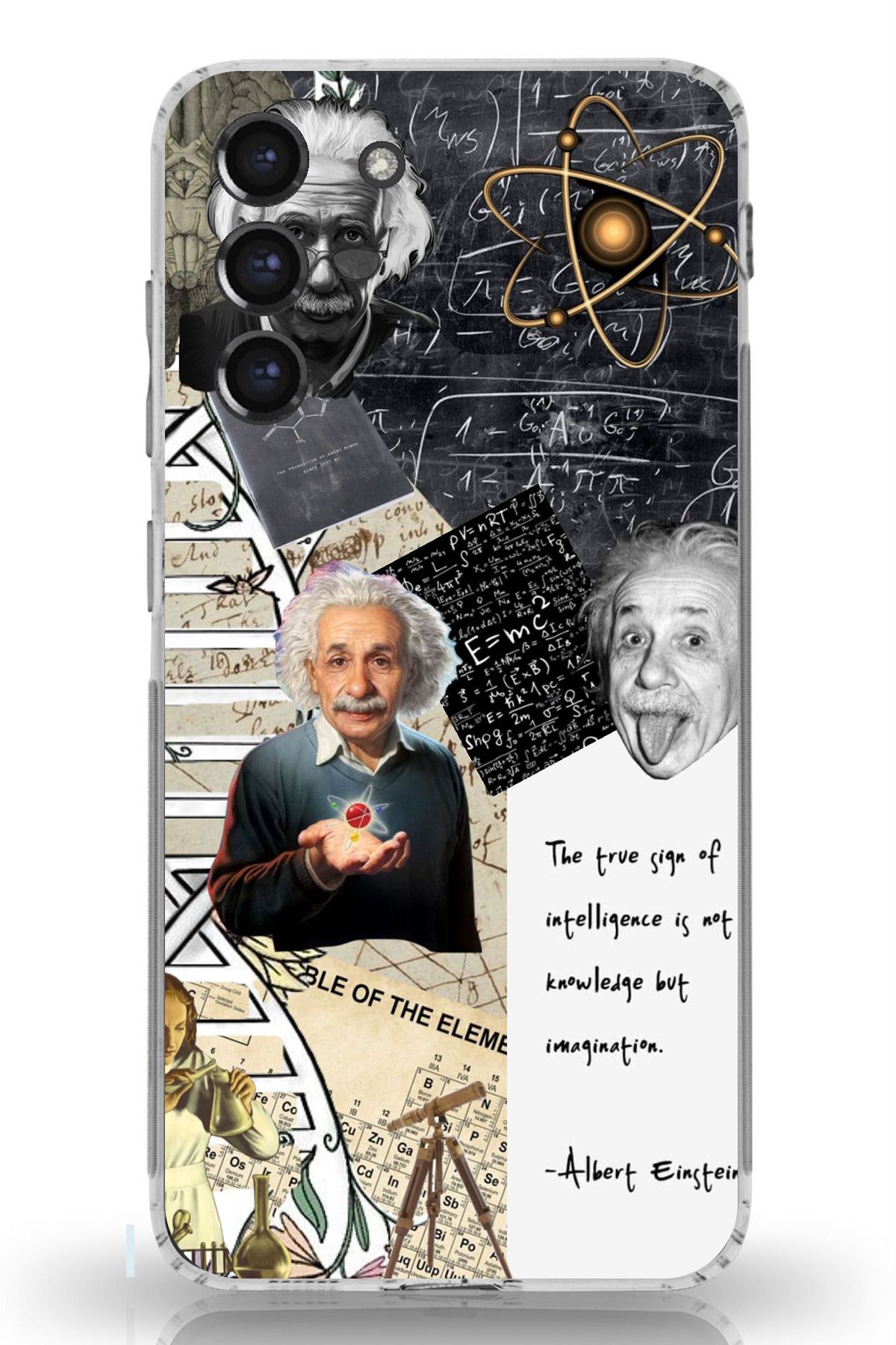 TechTree Galaxy S21 FE Uyumlu Albert Einstein Şeffaf Silikon Kılıf