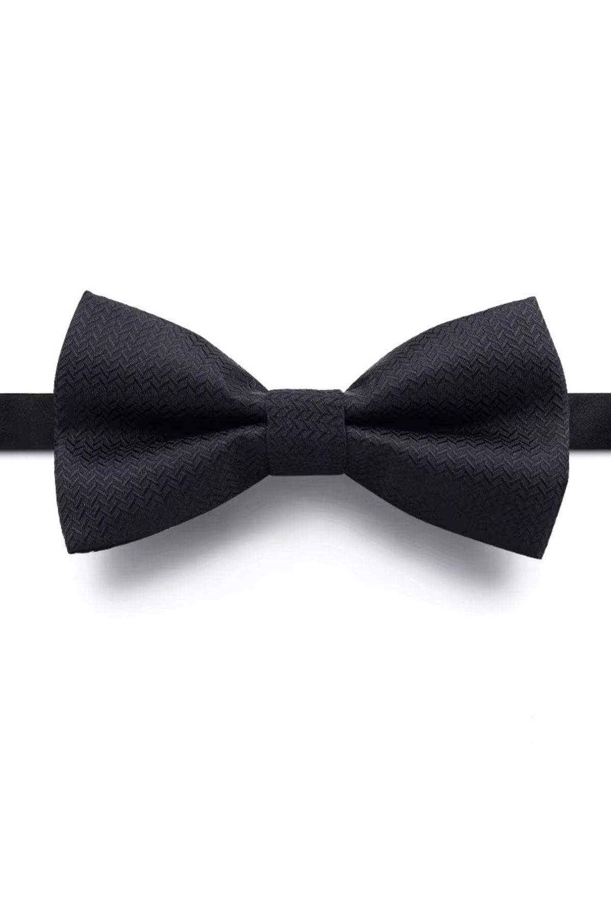 delis Papion Pentru Barbati, , Negru Masculin - Single Dimension