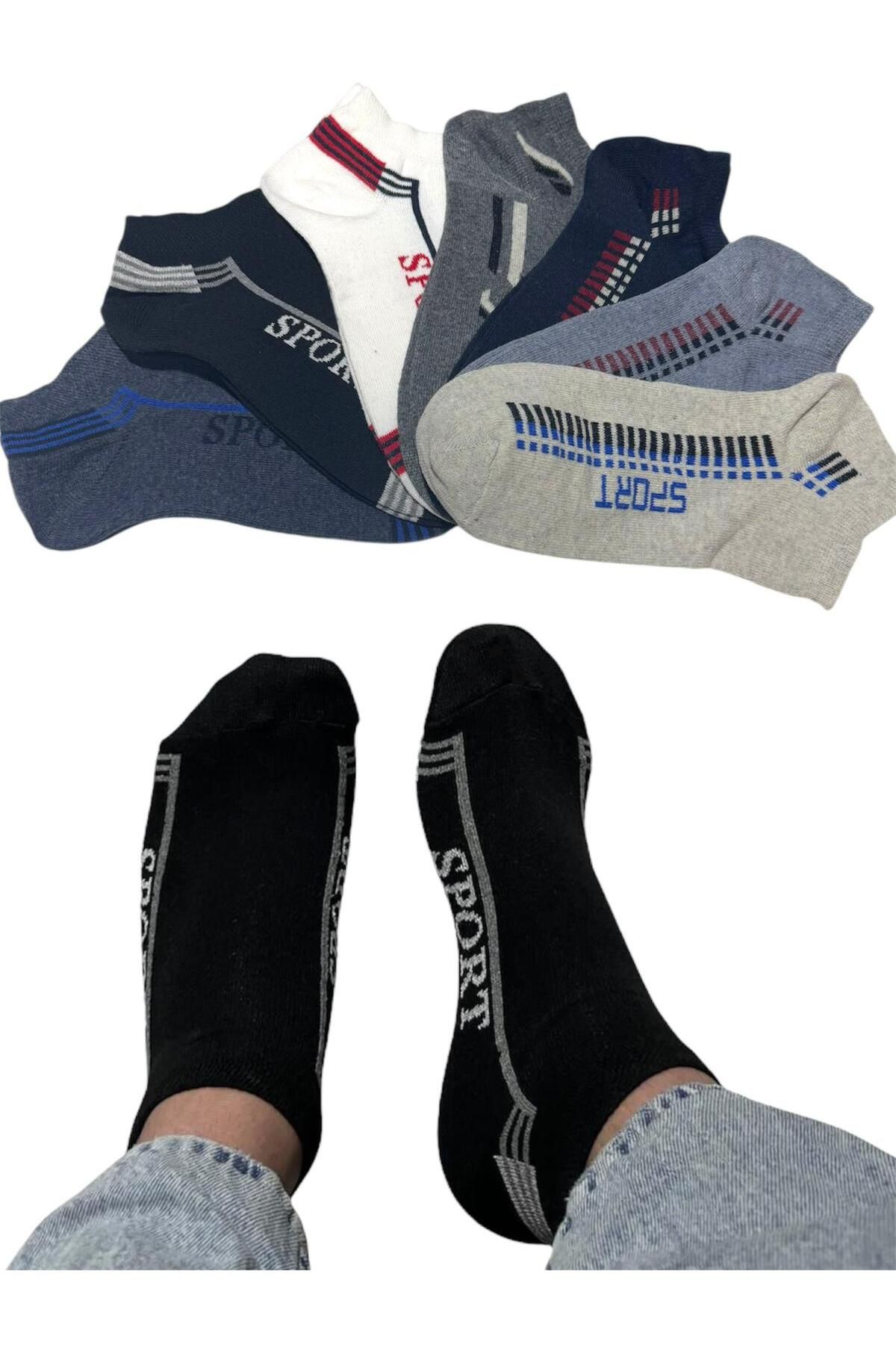 BYNDRSOCKS 7 Çift Erkek Patik Pamuklu Çorap