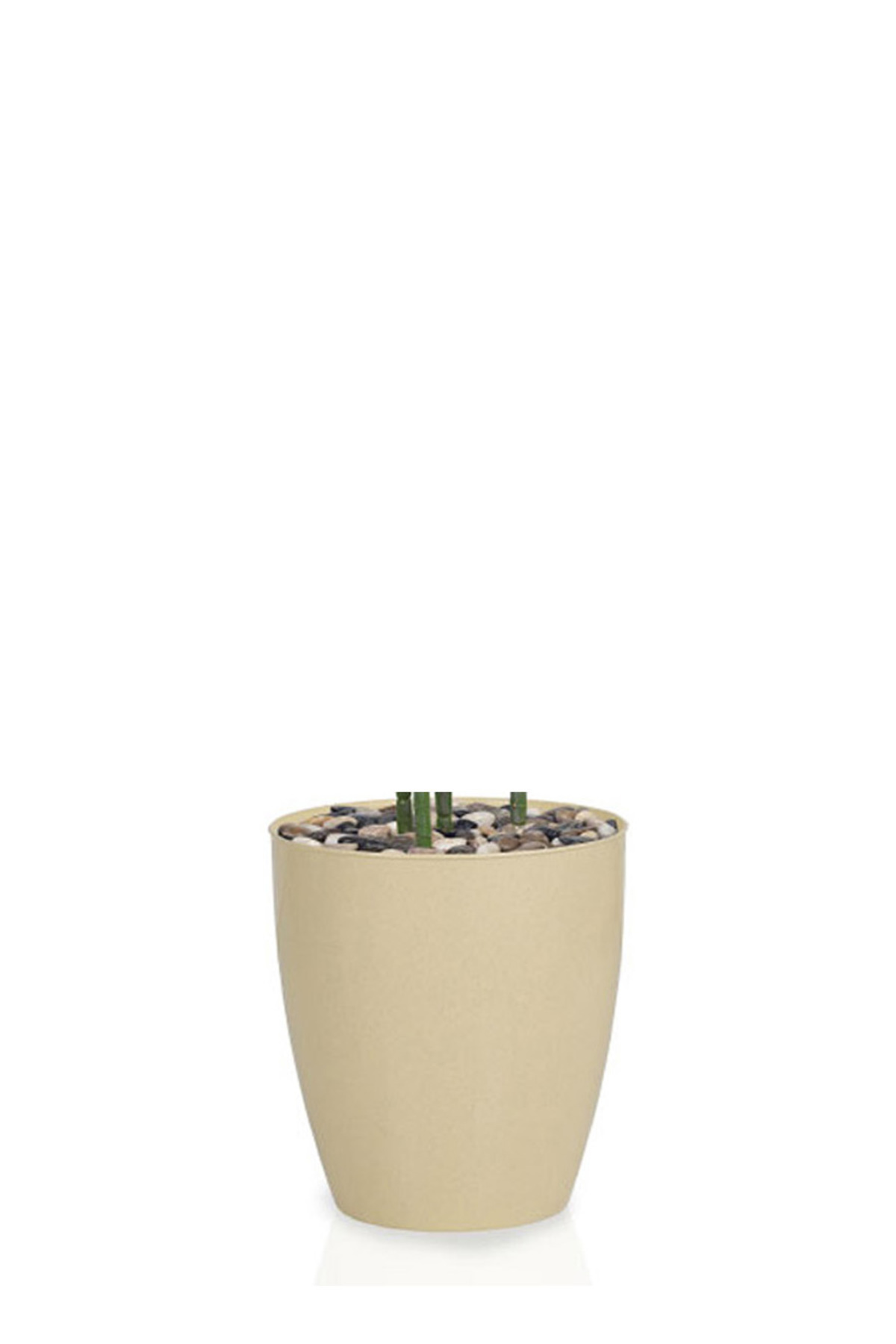 Generic-Artificial palm tree (4 branches) with a cylindrical plastic stand 3