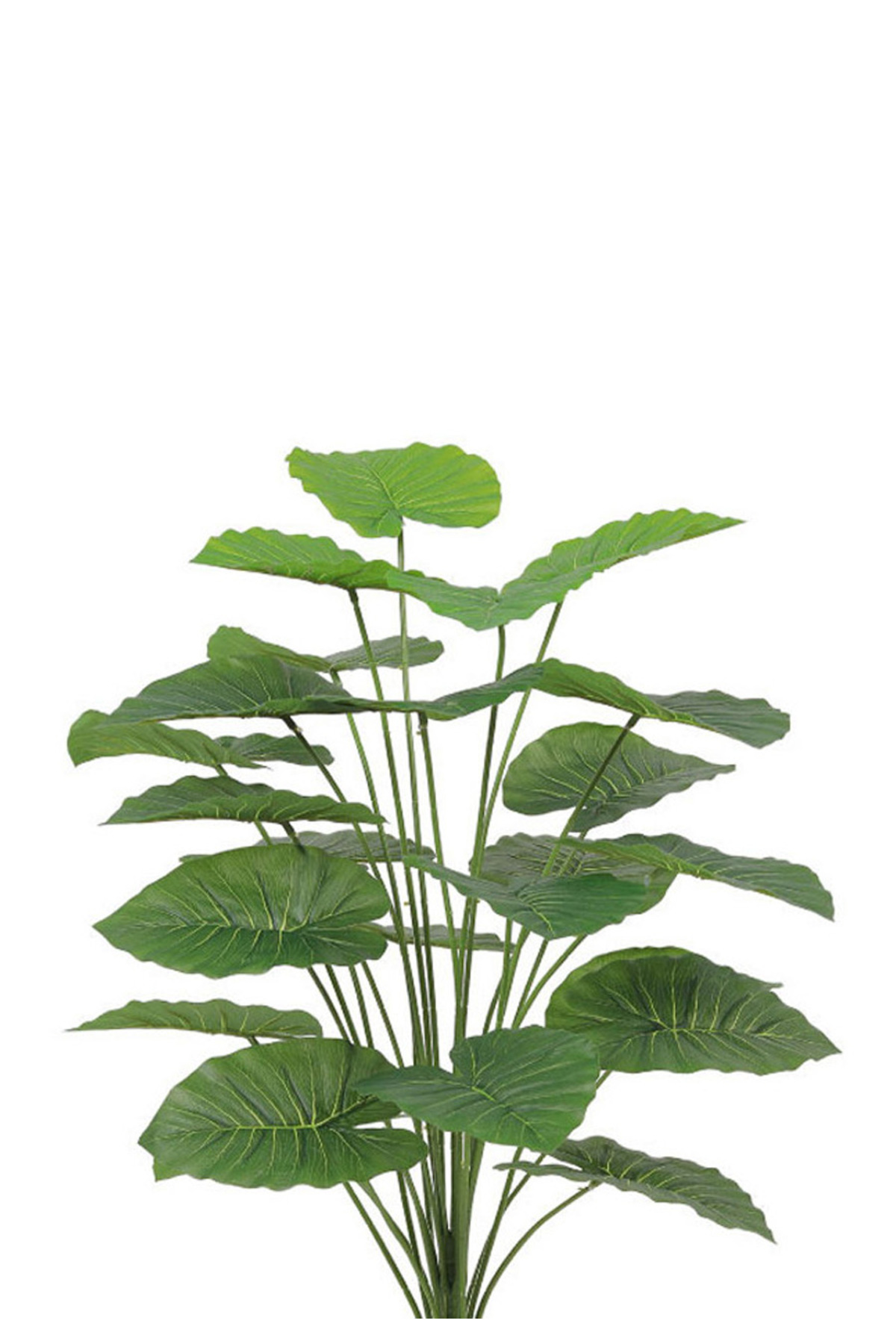 Generic-Artificial Alocasia Heart Leaf Seedling in Round Plastic Pot 2