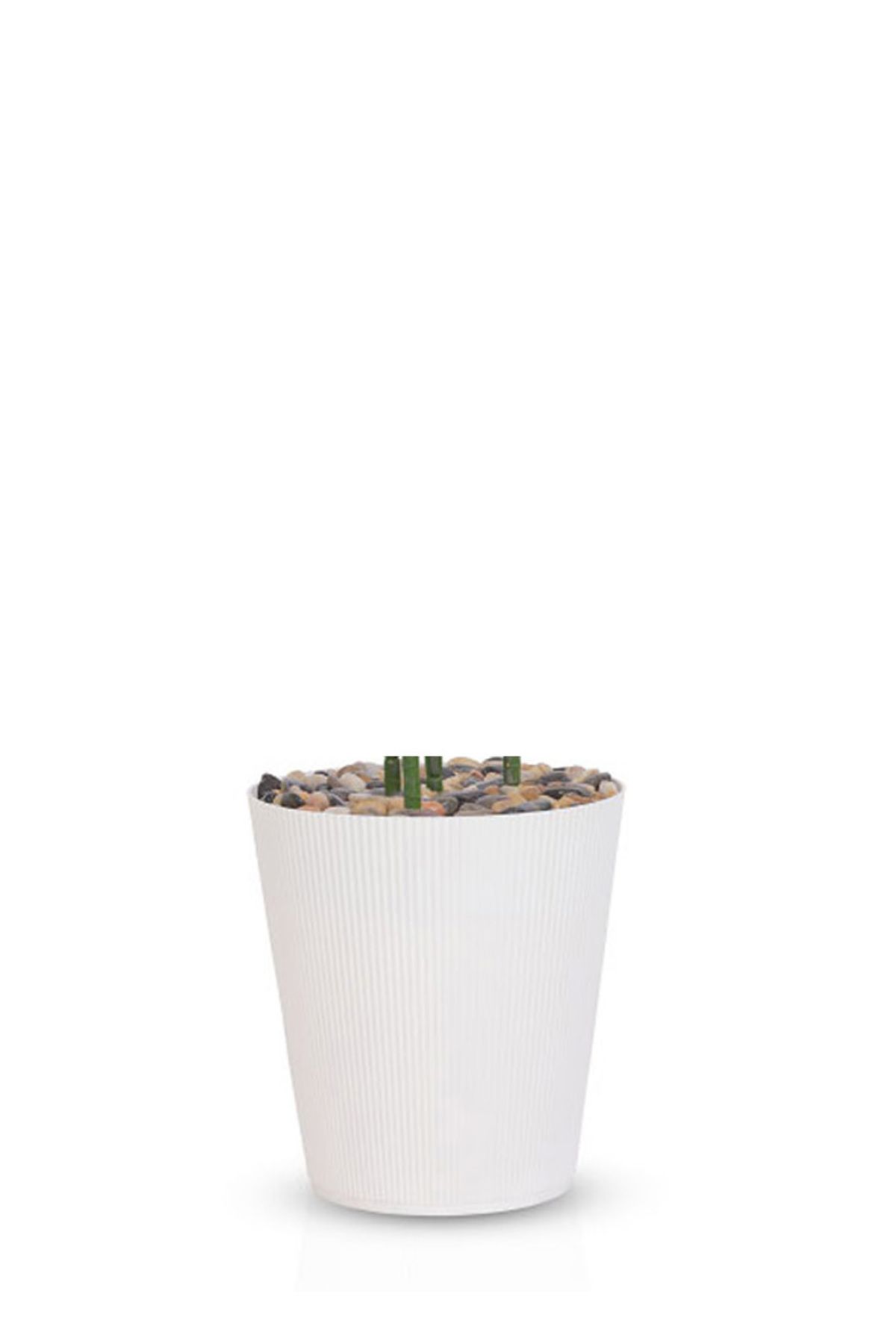 Generic-Artificial palm tree (4 branches) with a cylindrical plastic stand 3