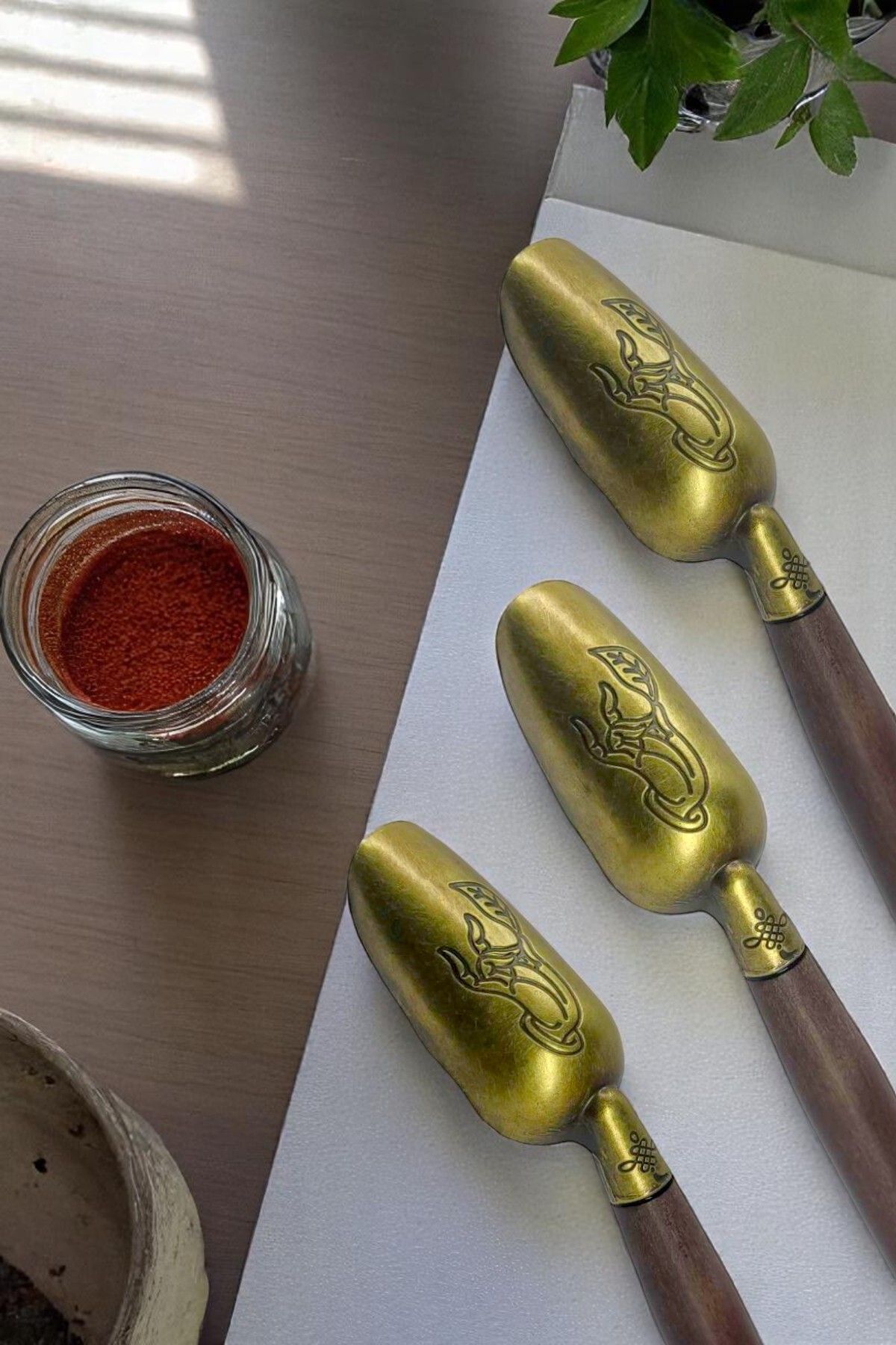 Kitchen Way İşlemeli Bambu 3 Adet Akasya Baharat Küreği Ahşap Saplı Gold Renk KW-527