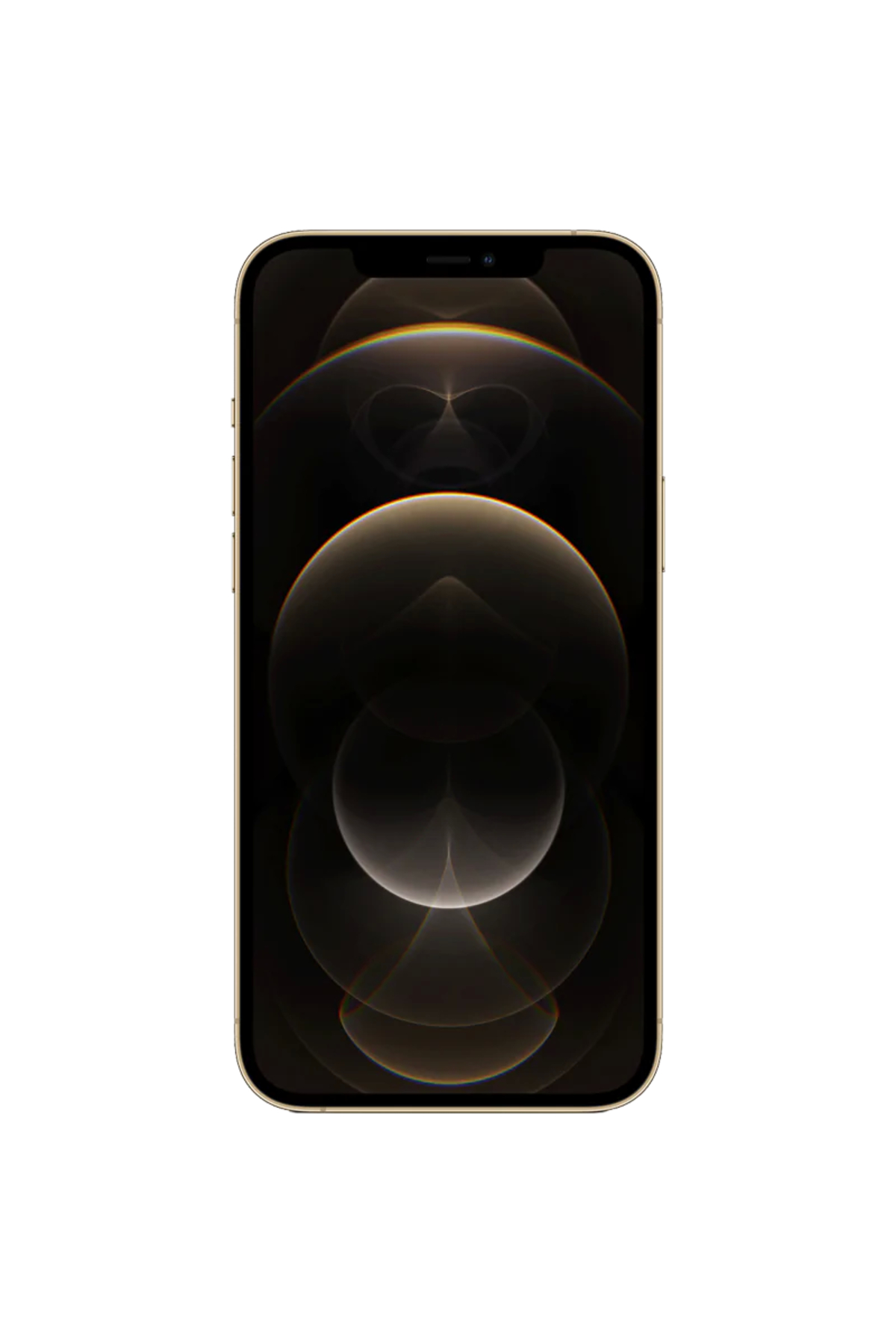 iPhone 12 Pro Cep Telefonu Modelleri, Fiyatları - Trendyol