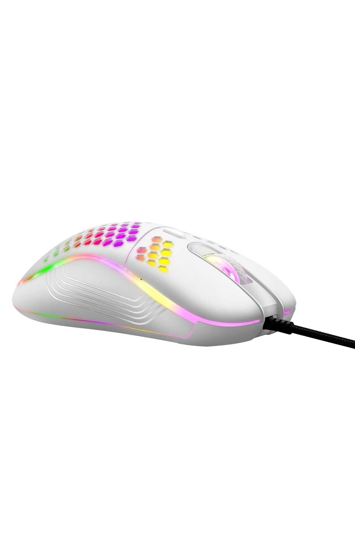 Datazone-DZOM-GW 3