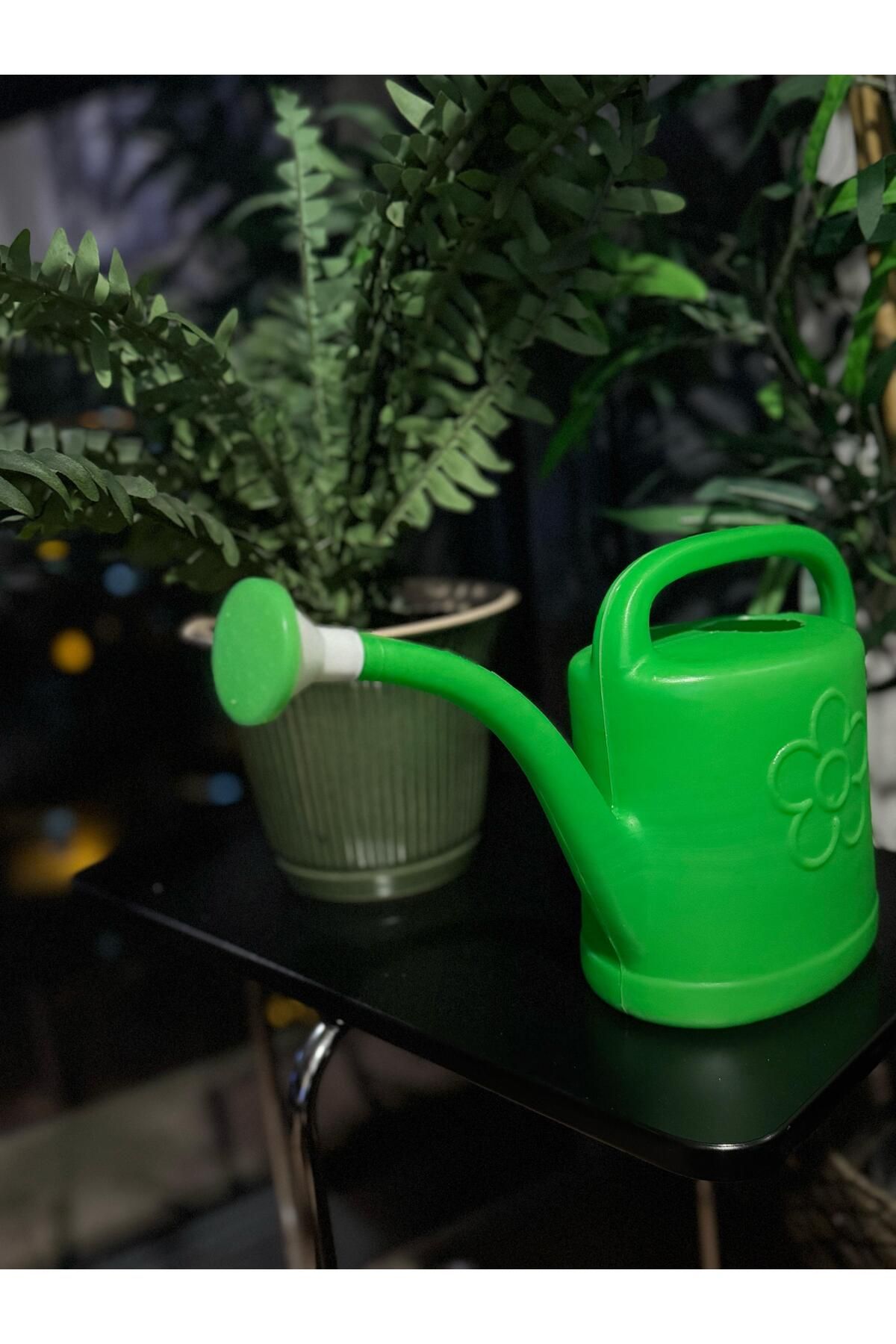 Olgun Home 2 Litre Sulama İbriği Bahçe Ev Tipi