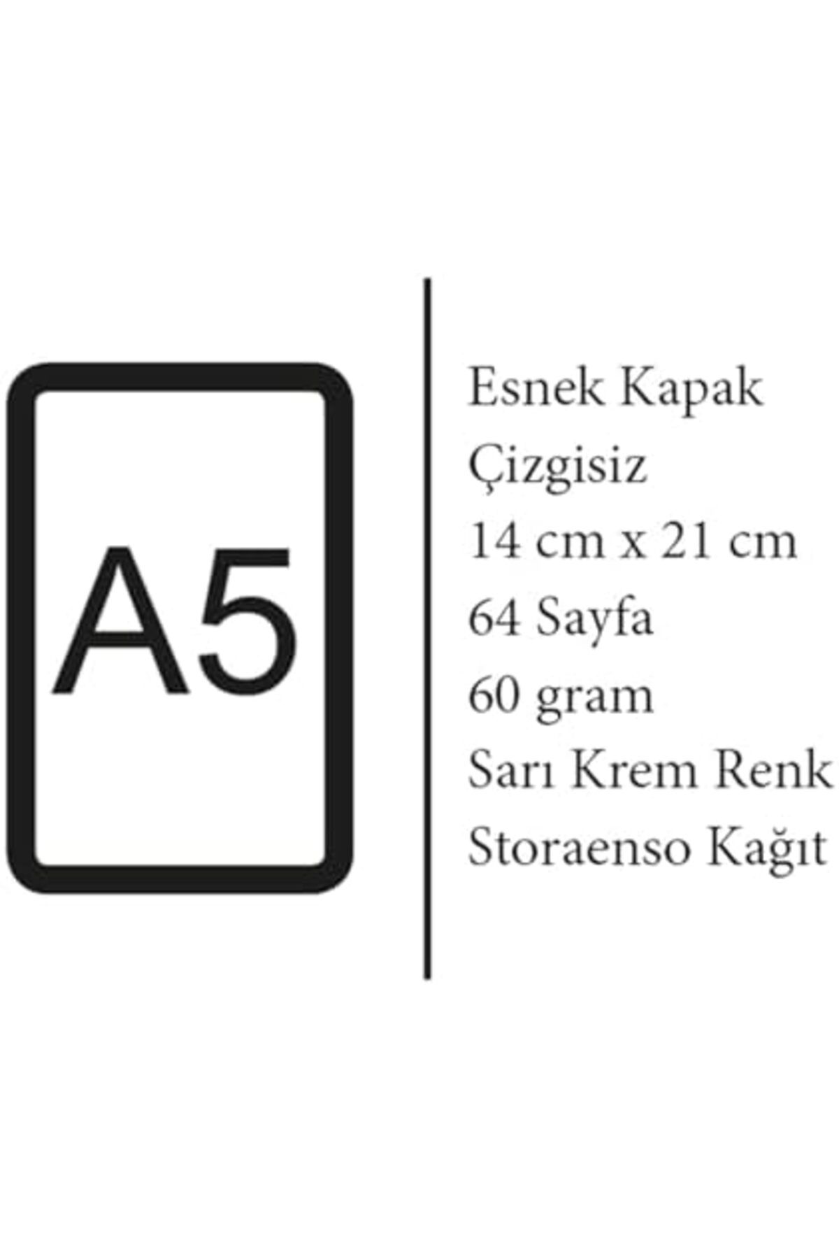 STOREMAX-Daiviolastore Turtle Series - A5, Osman Hamdi Bey Set of 4 Notebooks Iii, Unlined, Total 256 3