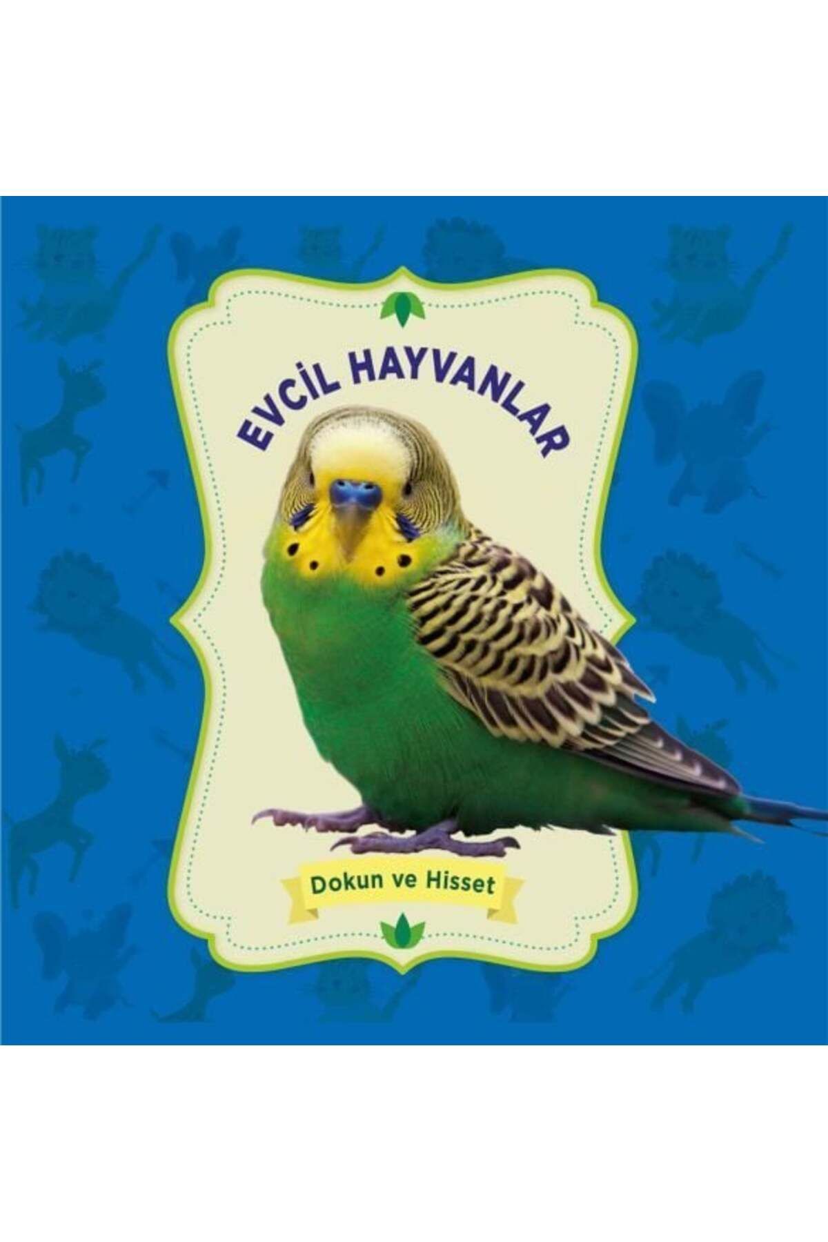 0-6 Yaş Yayınları Evcil Hayvanlar Dokun ve Hisset