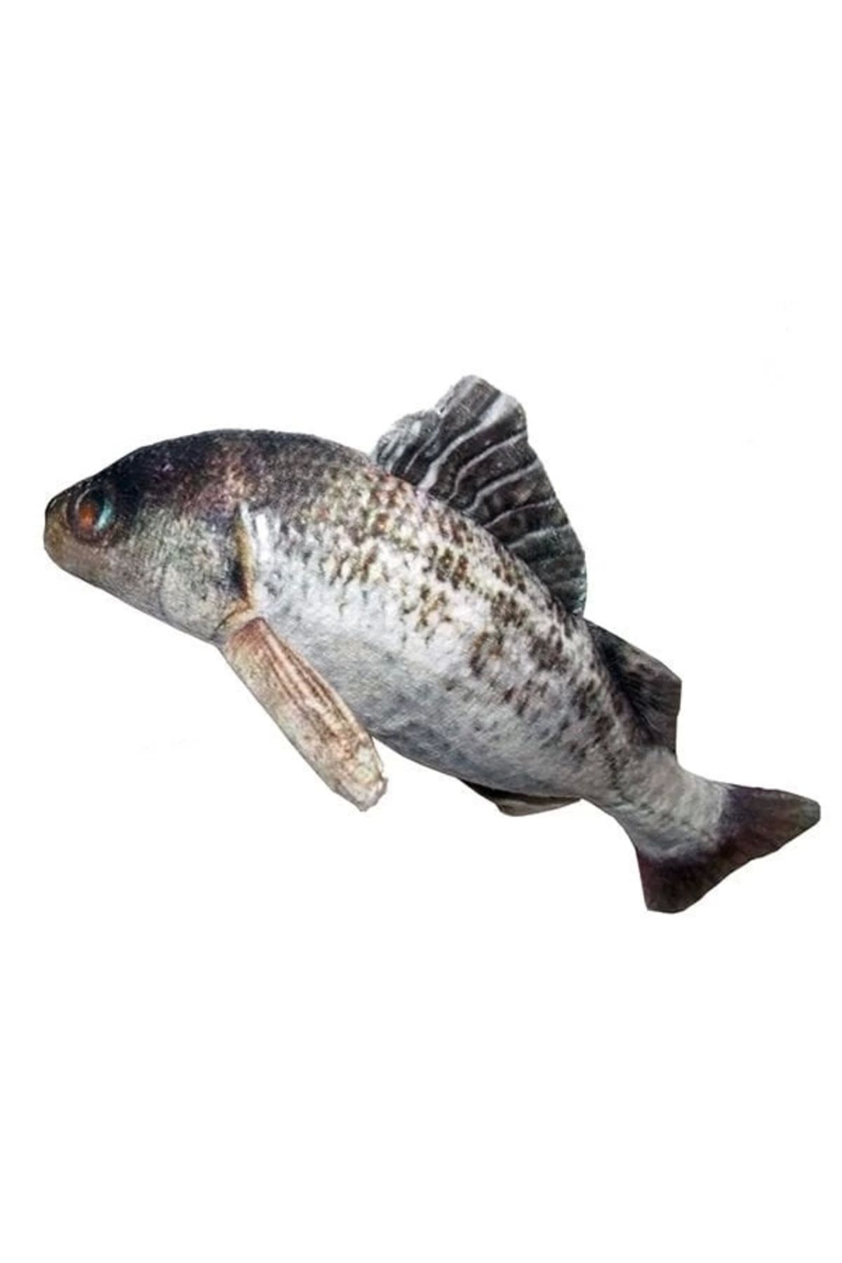 YNT İthalat Eastland Peluş Levrek Şeklinde Kedi Oyuncağı 20 Cm