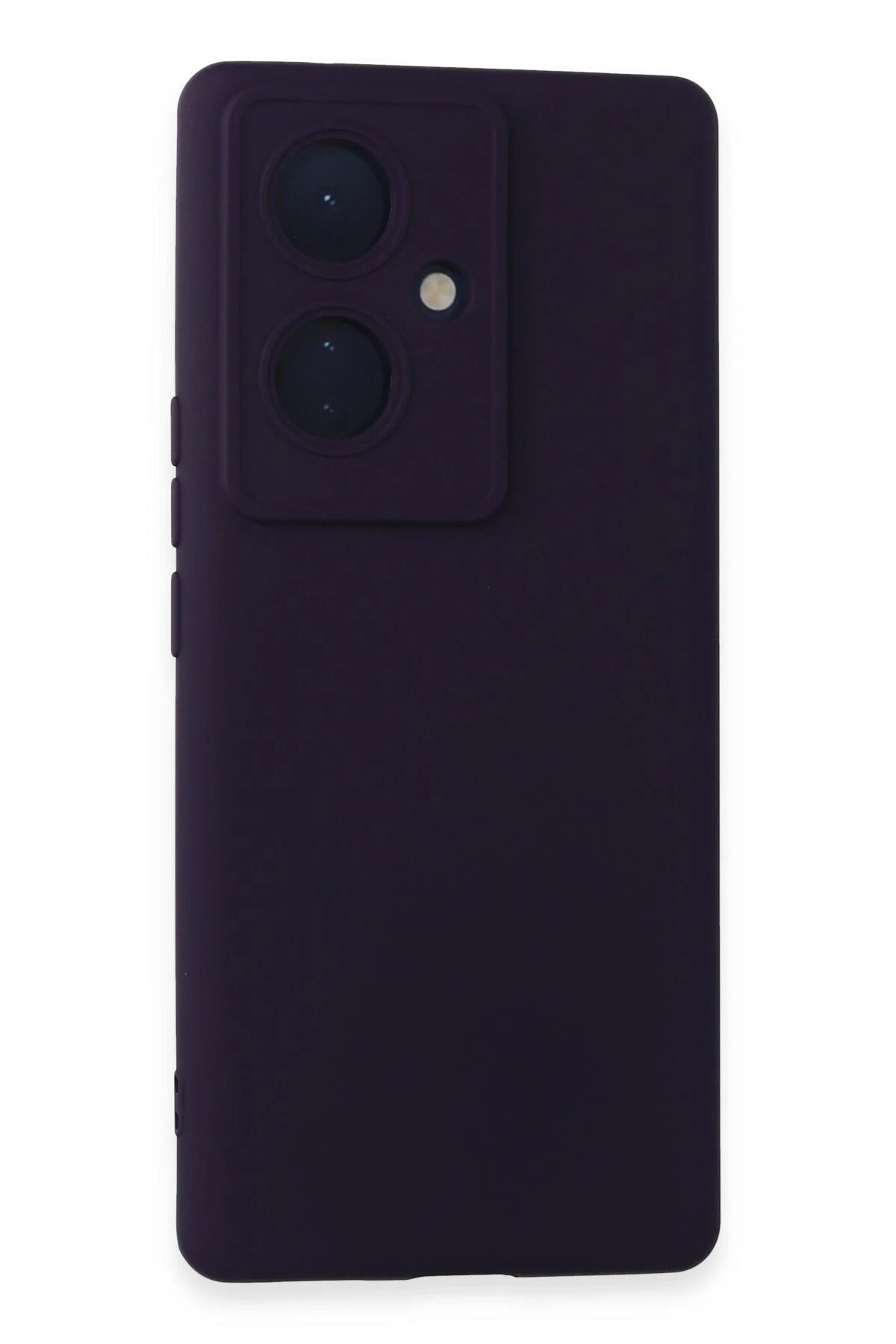 NewFace Vivo V29 Lite Kılıf Nano içi Kadife Silikon - Mor FERRG