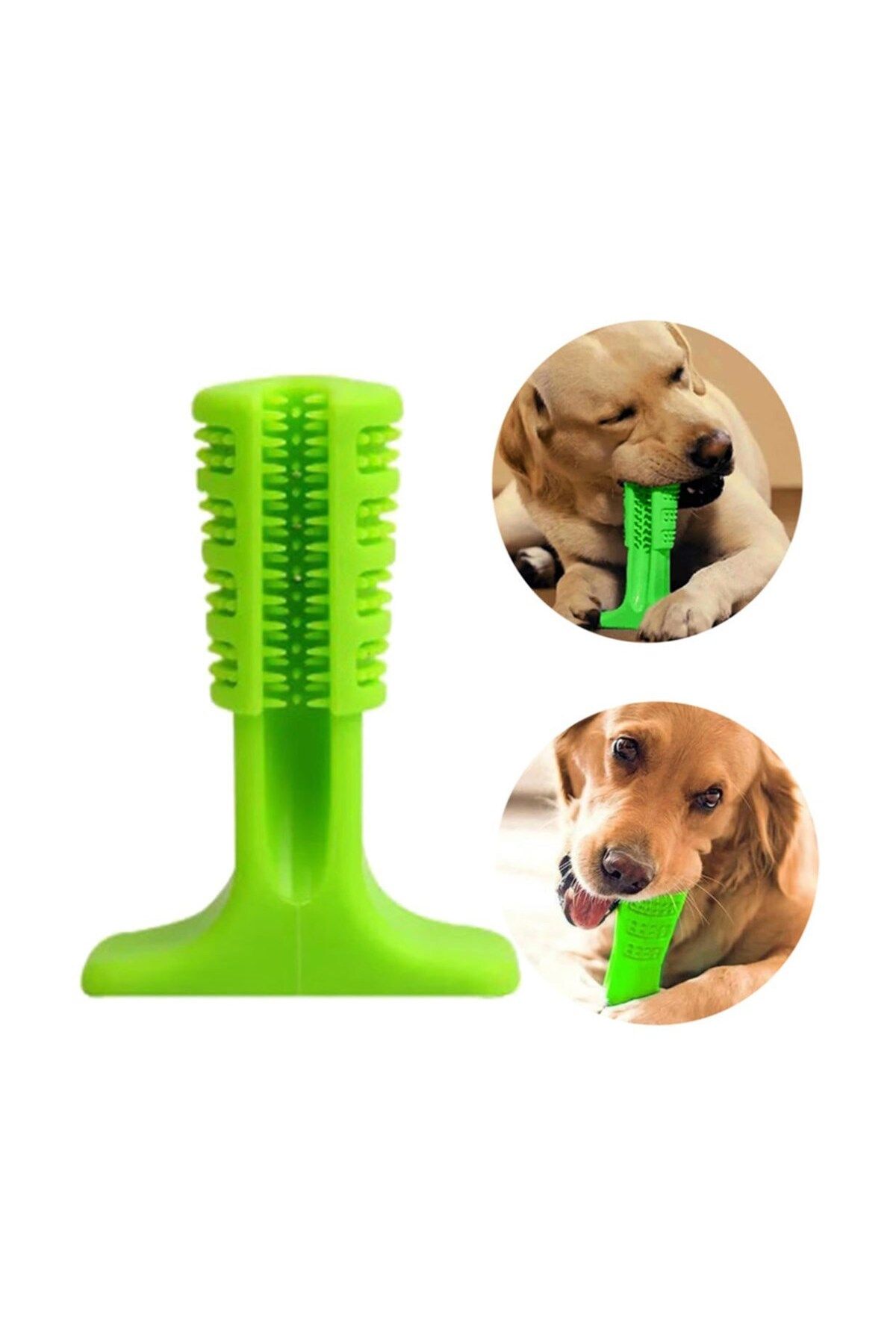 RiverWorld River World Köpek Diş Temizleyici ve Kaşıyıcı Sağlıklı Küçük Boy Oyuncak
