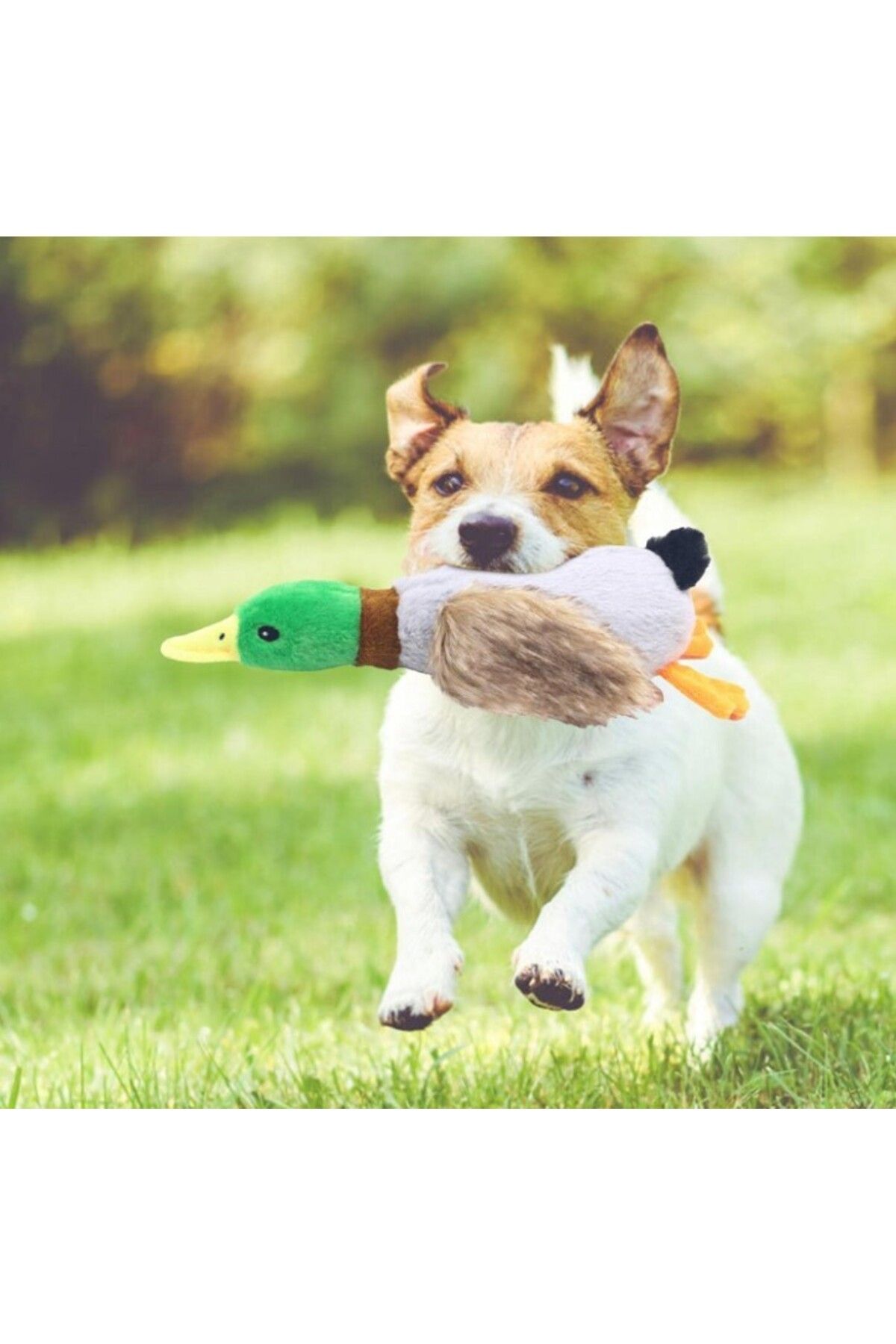 HobiDünyasıElif Sesli Ördek Şekilli Peluş Köpek Oyuncağı