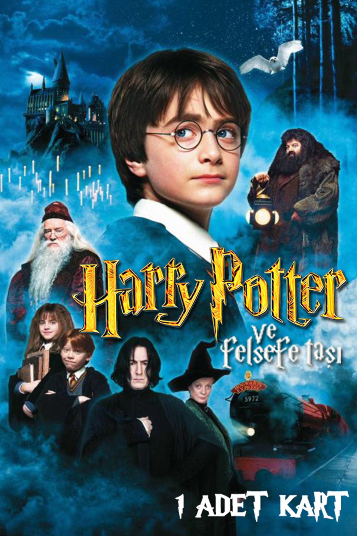 Playseba 1 Adet Sürpriz Kart - Harry Potter Ve Felsefe Taşı Filmi 20. Yıl Kart Serisi