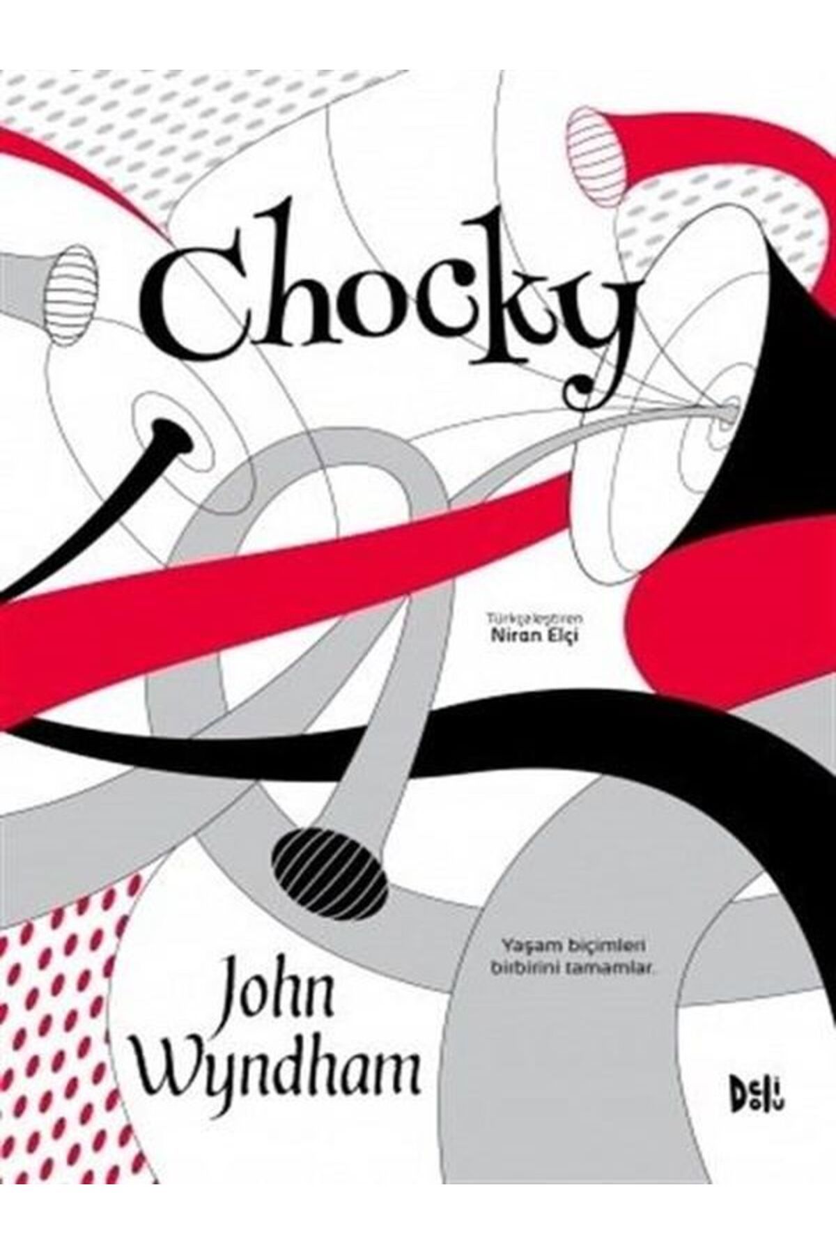 Delidolu Yayınları Chocky - John Wyndham -
