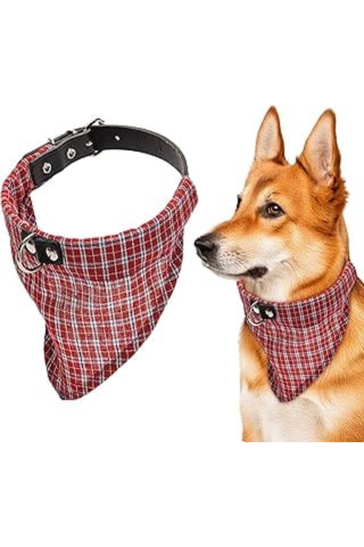 Mu Art Karlie Deri Bandanalı Köpek Boyun Tasması, 57 Cm, Kırmızı
