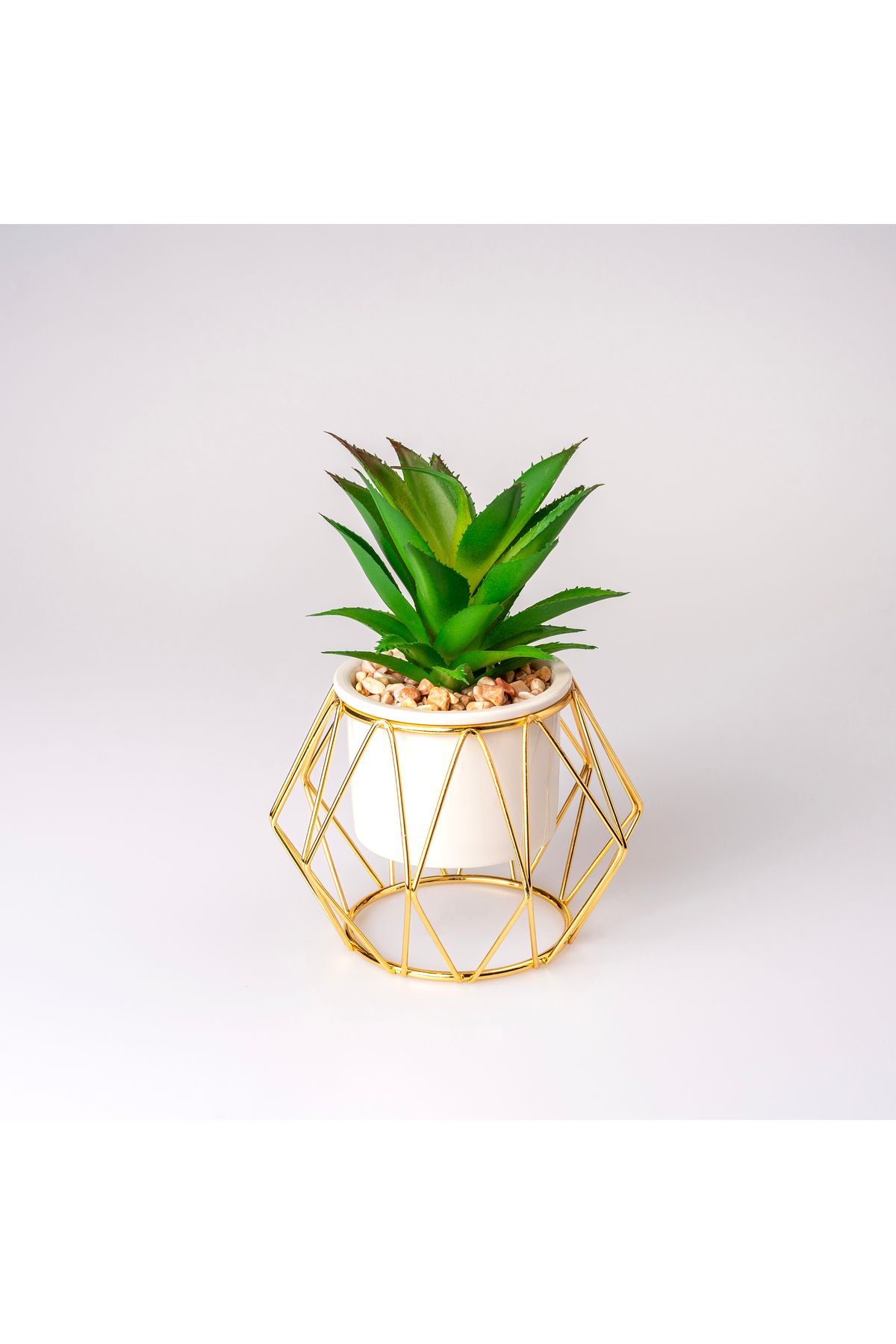 Hinora Mini Telli Prizma Saksılı Kaktüs Çiçek Süs Dekor 17x12x12cm TEKLİ SATILIR