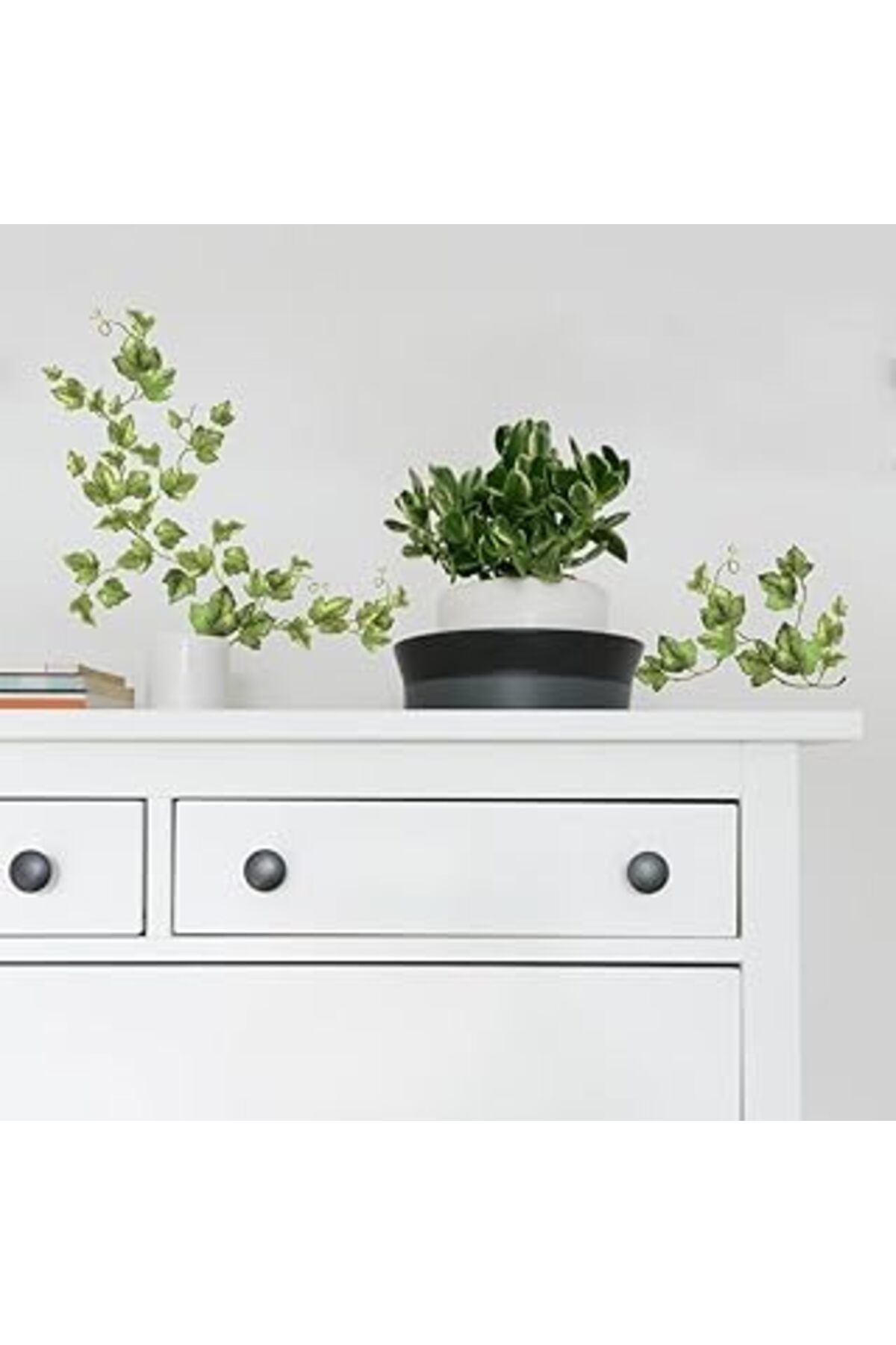 Mu Art Ahşap Roommates 54225 Sarmaşık