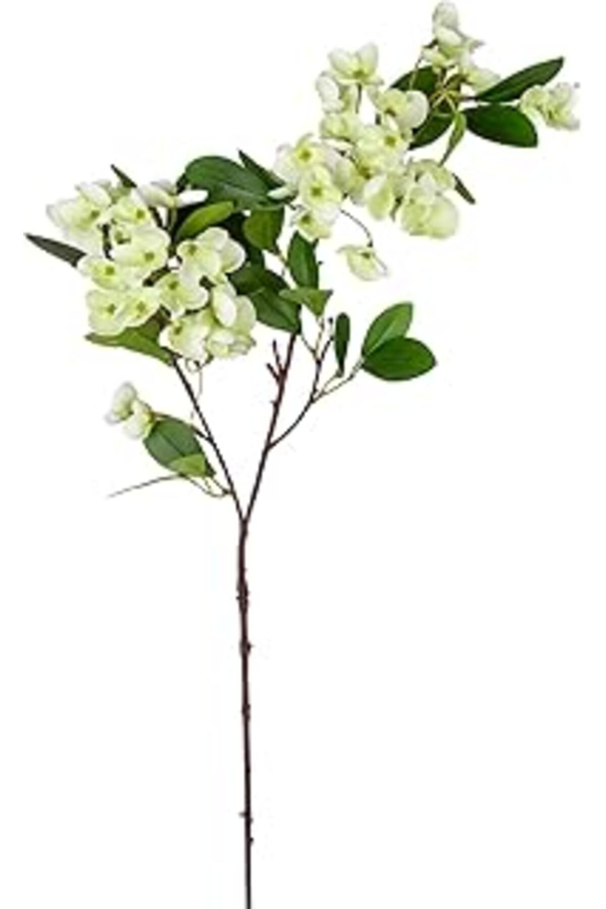 Mu Art Herdekora Yapay Islak Dokulu Sütleğen Çiçek Su Yeşili 77 Cm.