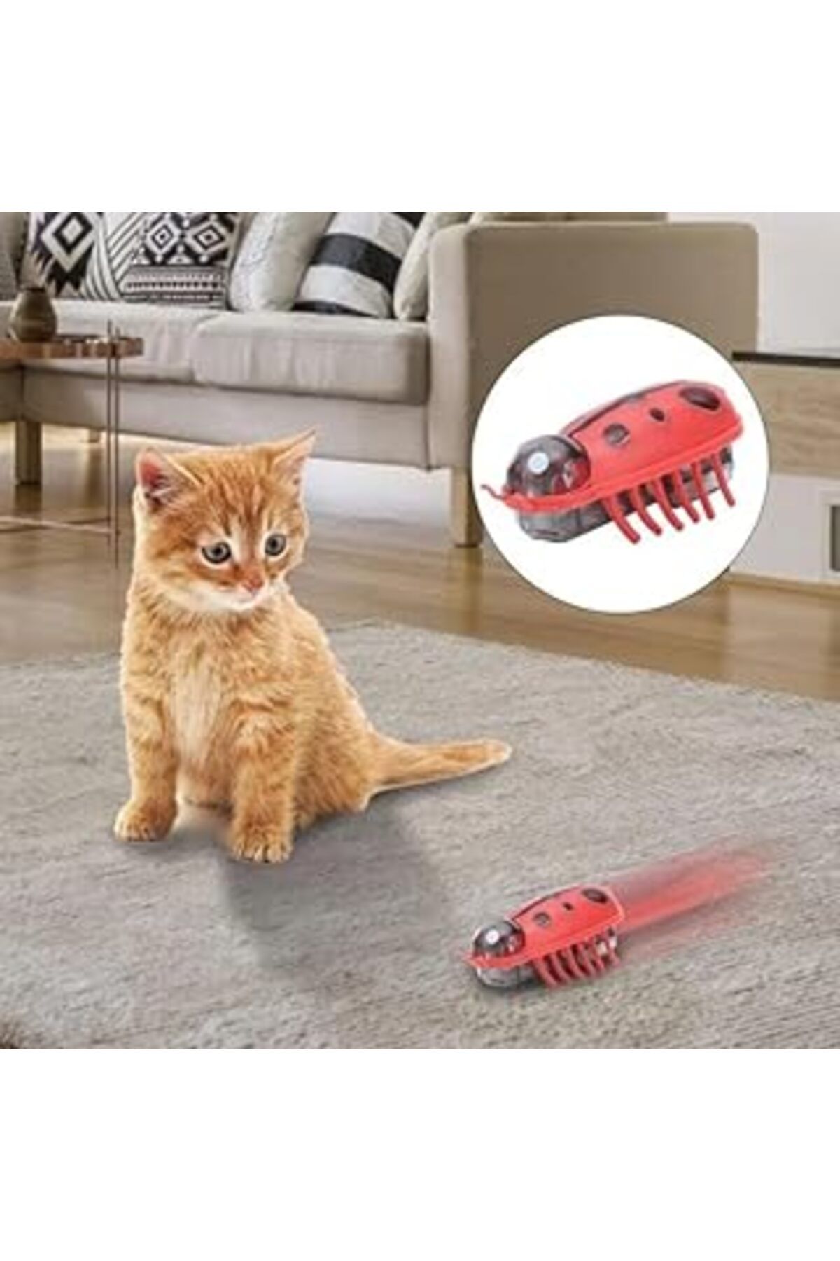 karadağsb Busstier Uğur Böceği Hareketli Kedi Oyuncağı, Otomatik Hareket Eden Uğur Böceği Şeklinde Kedi Oyunc