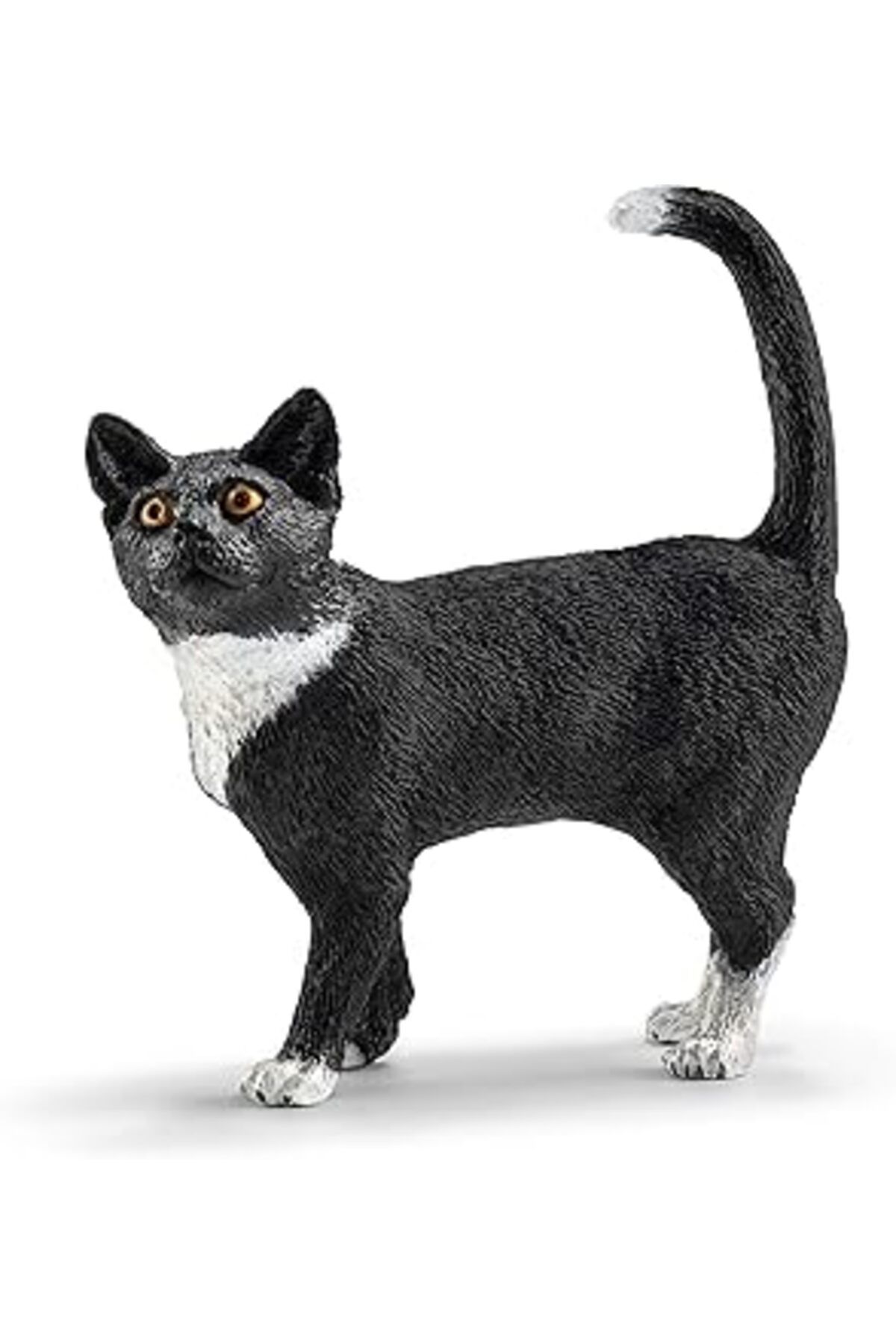 Mu Art Farm World Ayakta Kedi