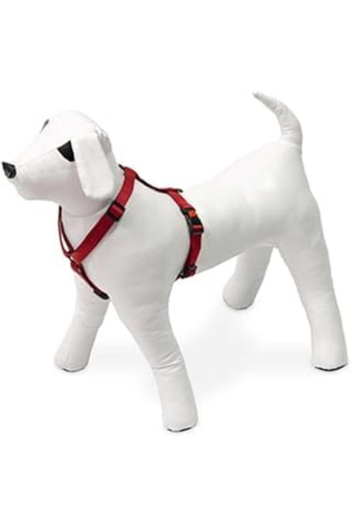 robotrend Karlie Kilitli Göğüs Tasması, Köpekler İçin,25-40 Cm, Kırmızı