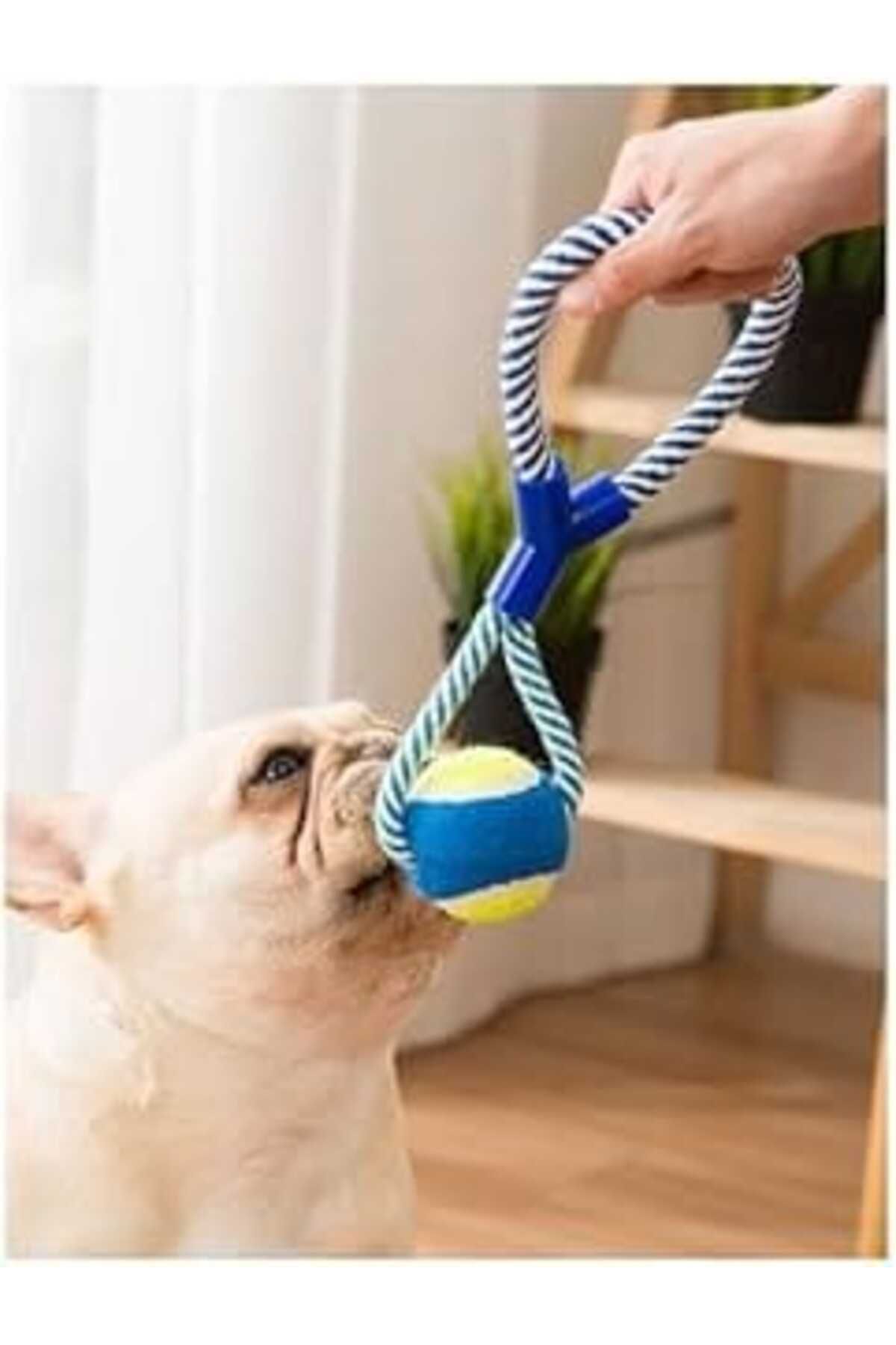 Mu Art Halatlı Köpek Çiğneme Topu, Mavi Ve Sarı Renkli