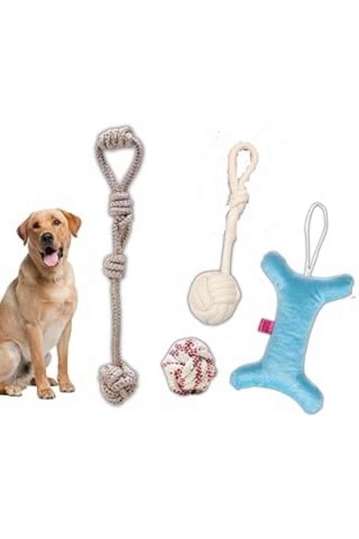 Mu Art Köpek Diş İpi Oyuncağı Dörtlü Toplu Çekiştirmeli Halat - Pamuk Ipliği Stres Oyuncağı - Dörtlü Set D