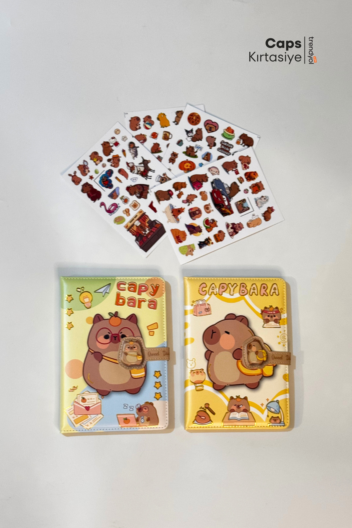 caps office-2 Capybara (Capybara) Themed Locked 160 Page Notebook & 4 Page Local Sticker Stationery Set 2