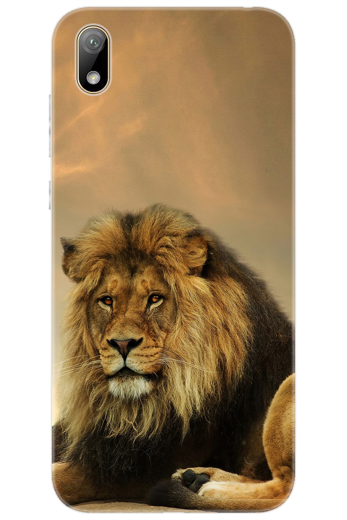 Ceppare Huawei Y5 2019 (AMN-LX2/LX9) Uyumlu Kılıf Desen Baskılı Silikon Kral Aslan STK:207 CP-PsDnneM