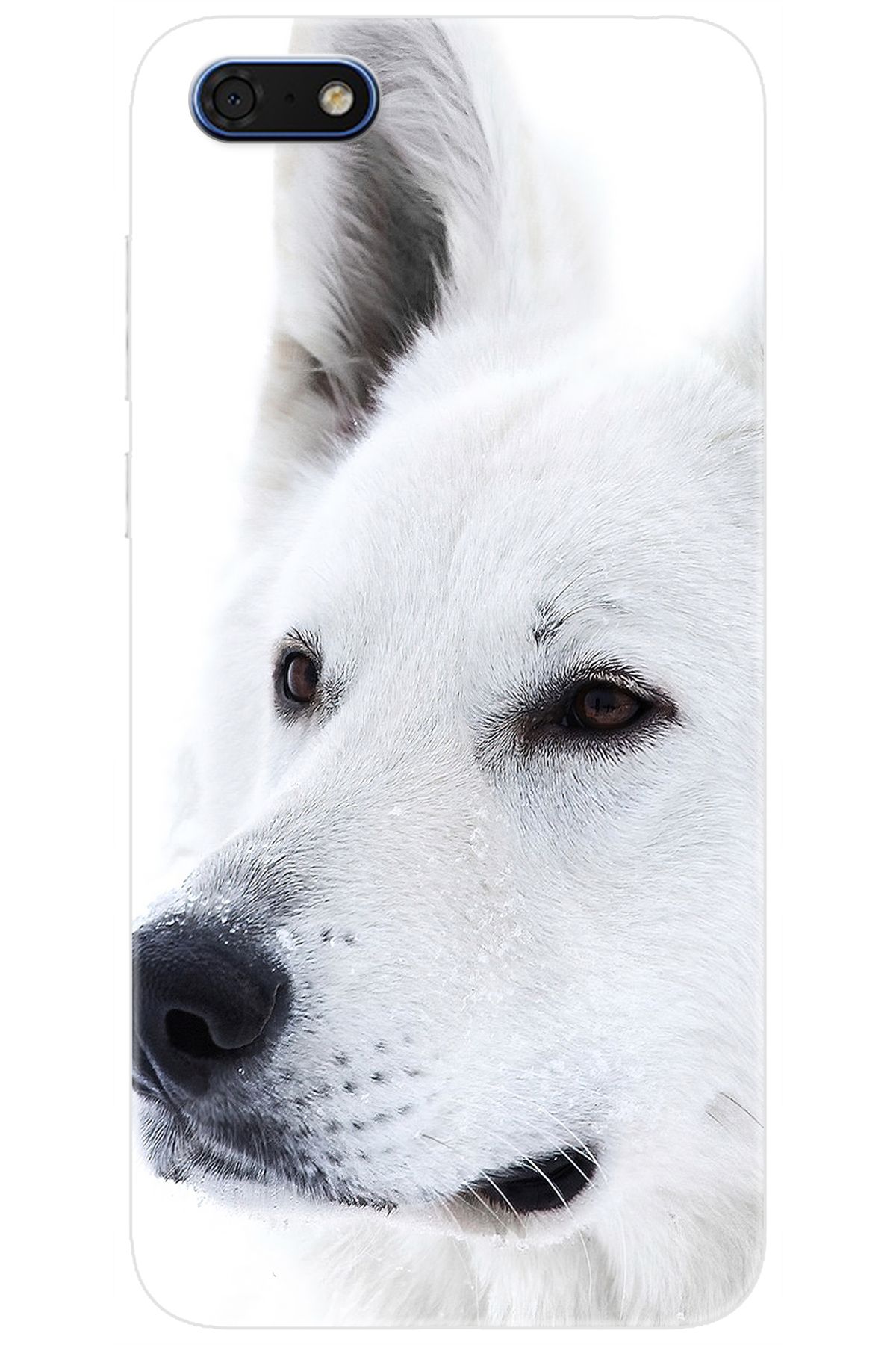 Ceppare Huawei Y5 2018 (DRA-L21) Uyumlu Kılıf Desen Baskılı Silikon Beyaz Kurt STK:169 CP-mCxRQFB