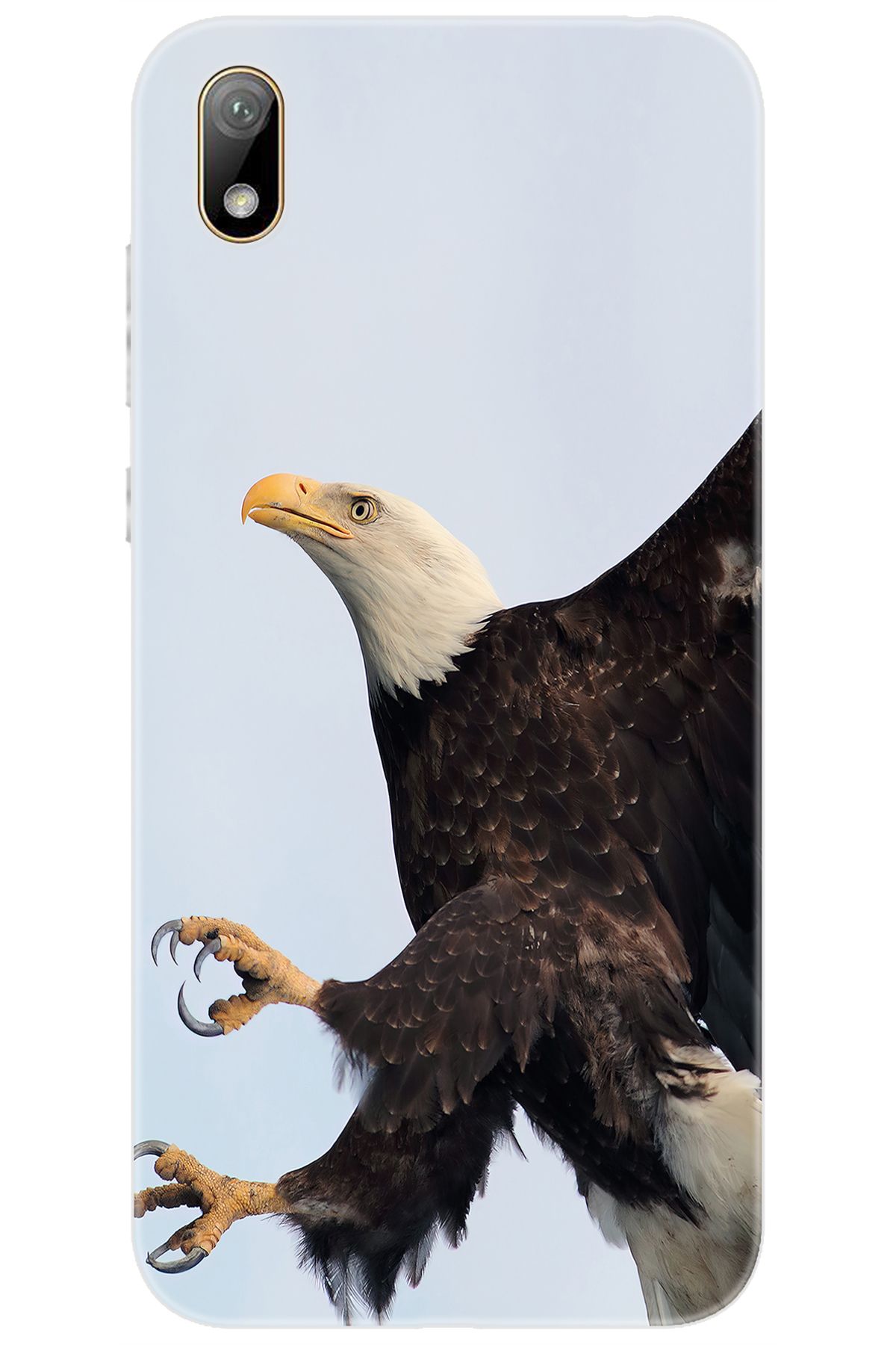 Ceppare Huawei Y5 2019 (AMN-LX2/LX9) Uyumlu Kılıf Desen Baskılı Silikon Kartal STK:189 CP-gNXpFLJ