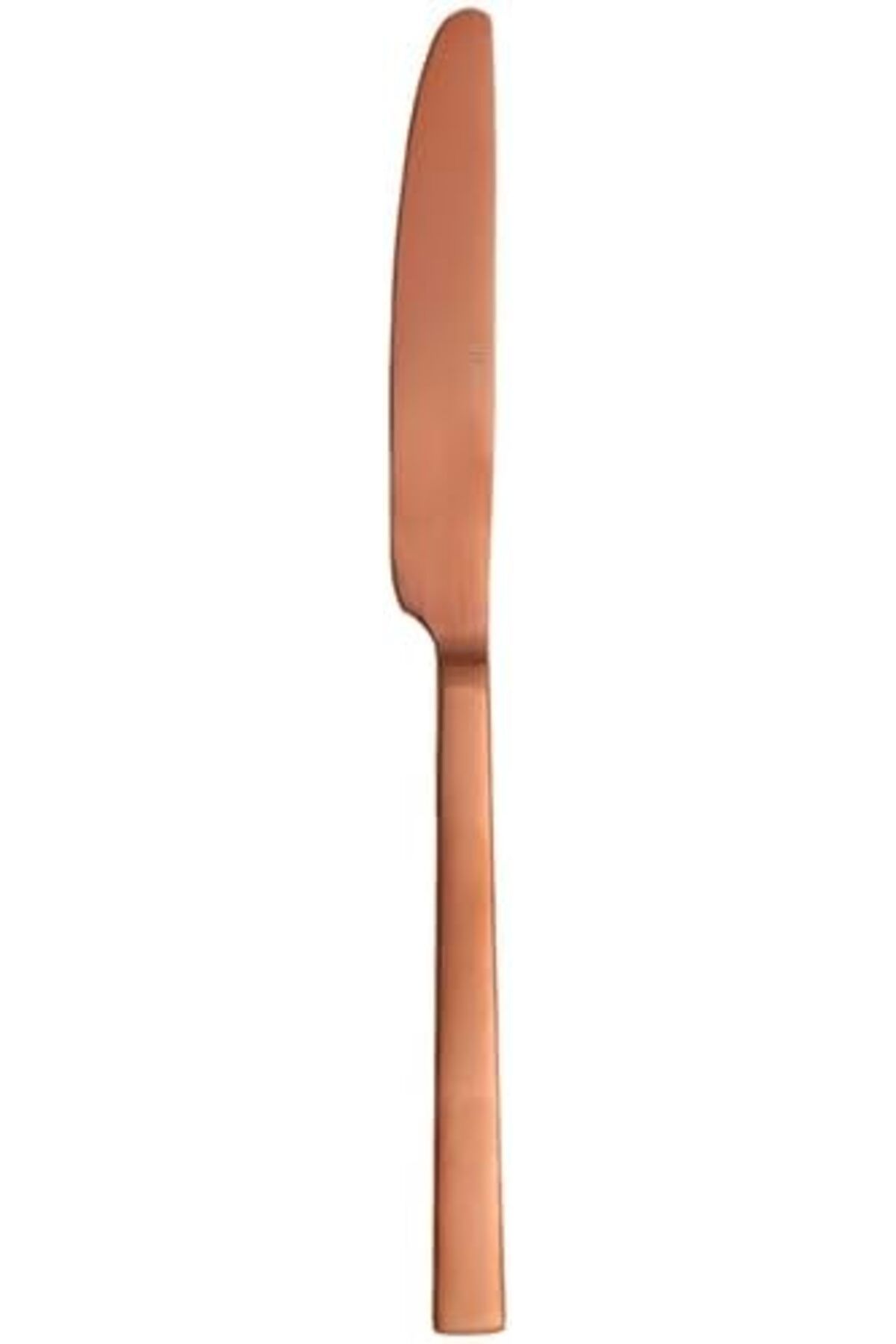 STOREMAX sellbuystore Quantum Mat Bakır Yemek Bıçağı 24cm 6 adet 1053513