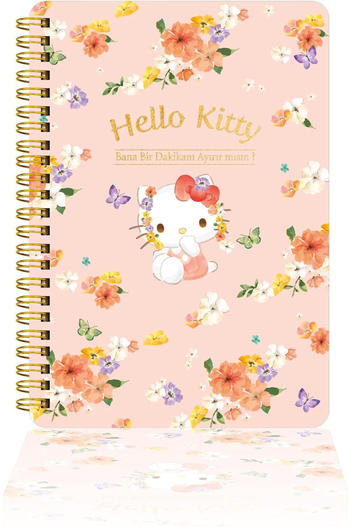 STOREMAX nffashopm Kitty Ve Arkadaşları Spiralli Günlük (JOURNAL) 14x20cm - Bana 1 Dk Ayırabilir Misin?